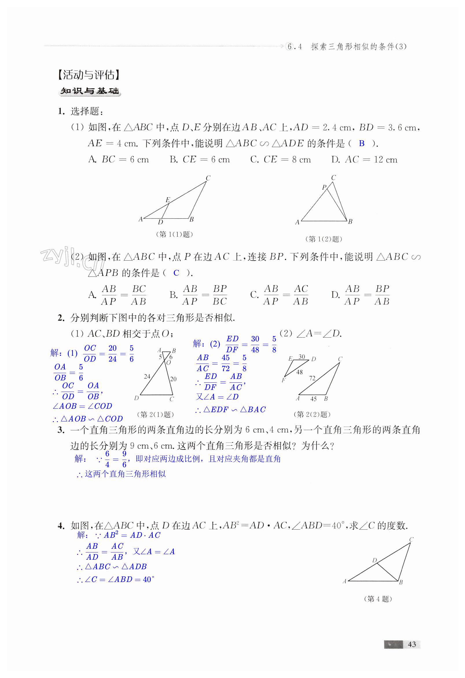 第43頁