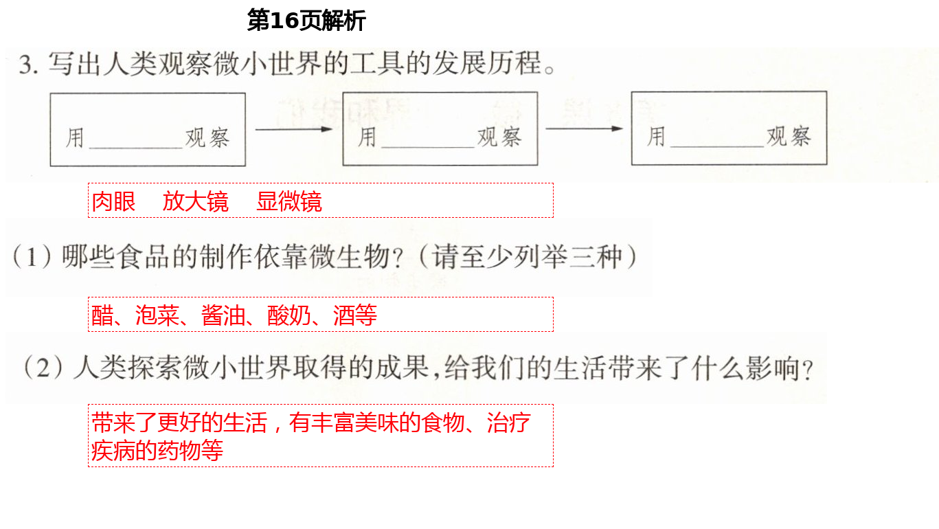 2021年導(dǎo)學(xué)新作業(yè)六年級(jí)科學(xué)下冊(cè)教科版 第16頁