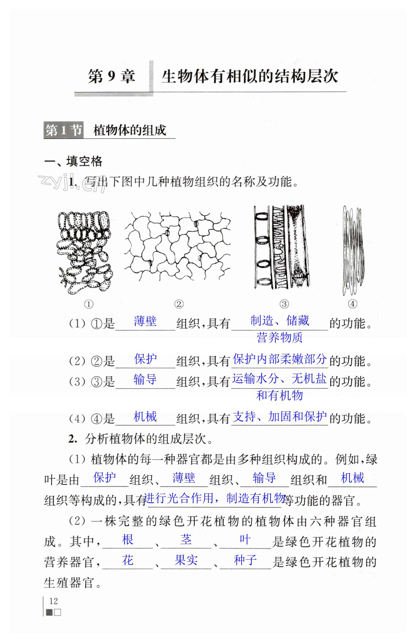 第12页