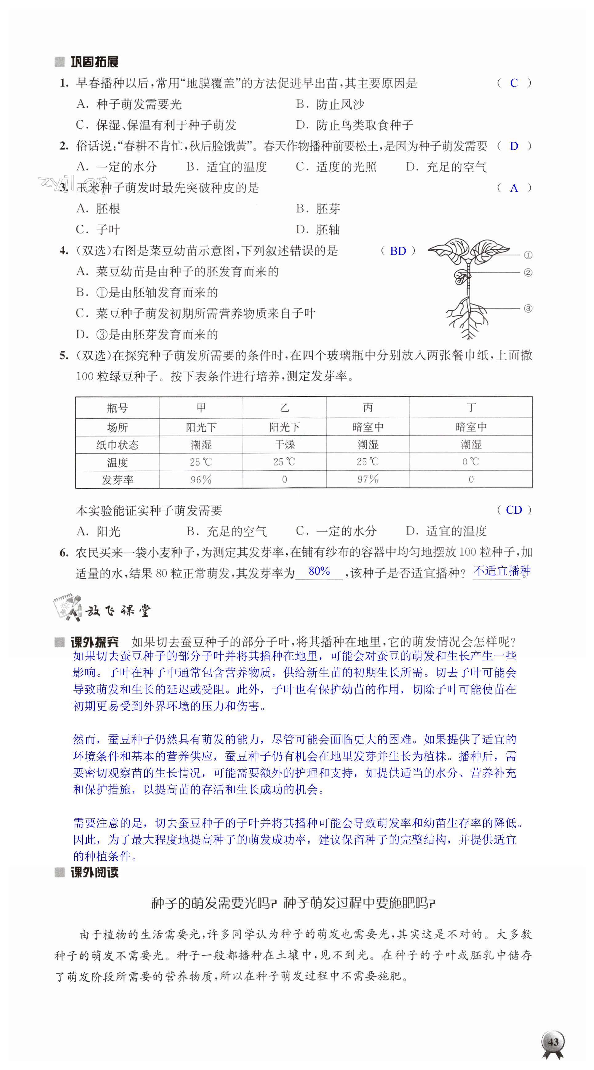 第43頁