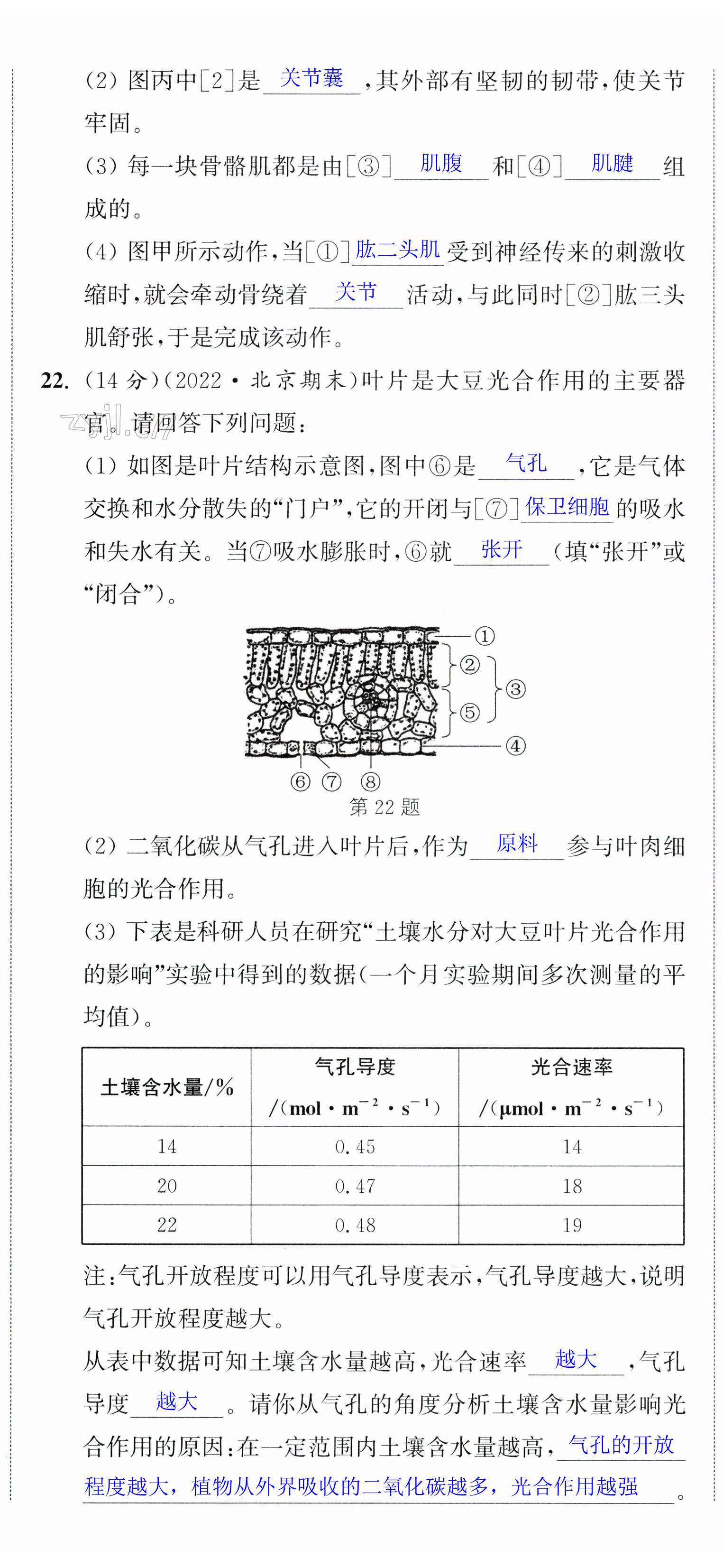 第17頁