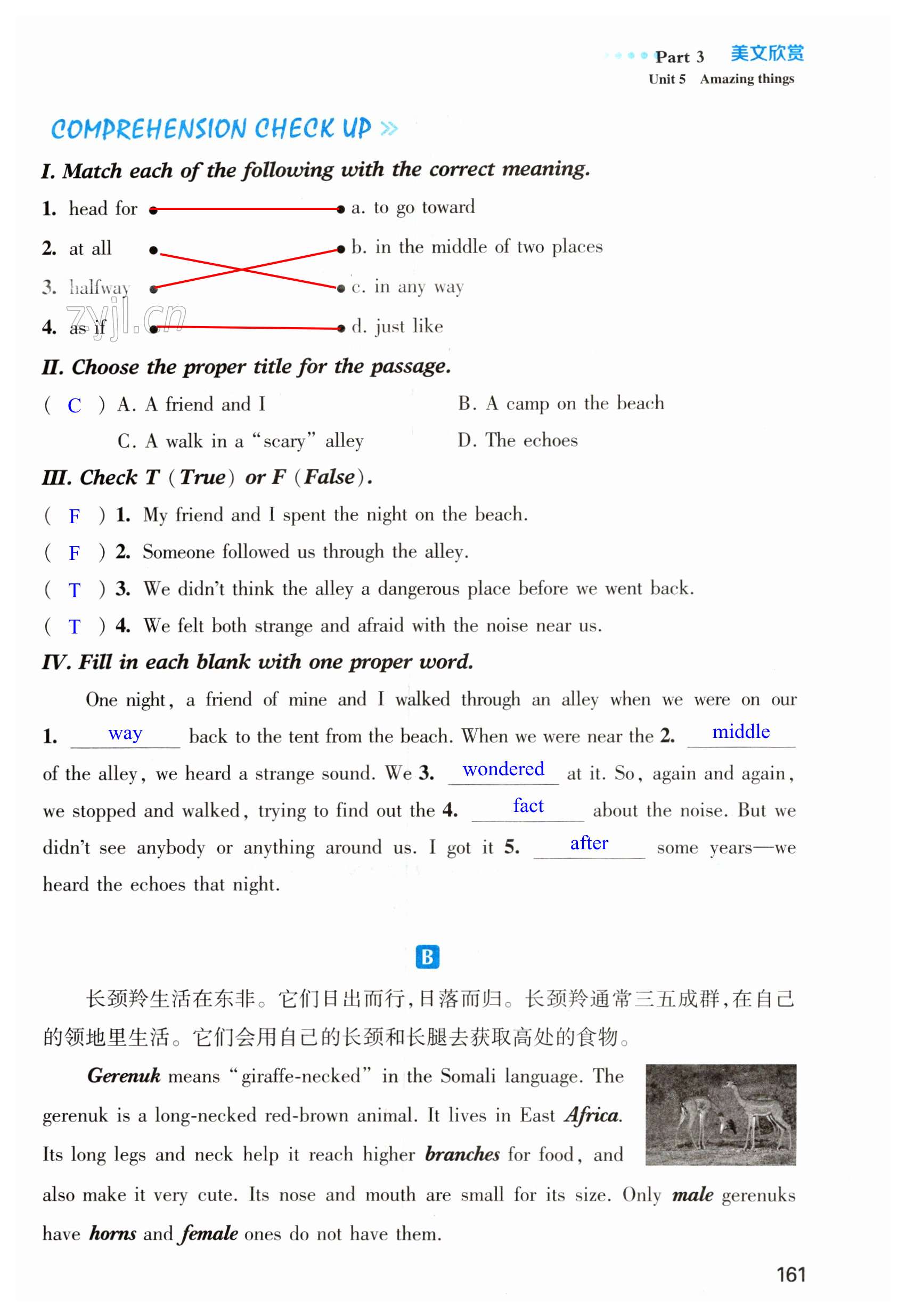 第161页