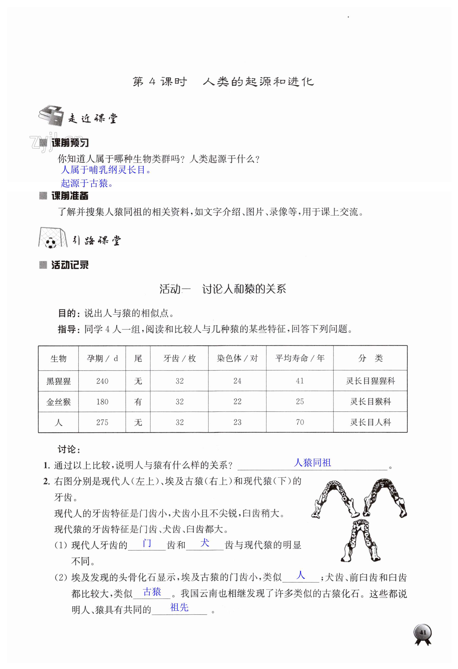 第41頁