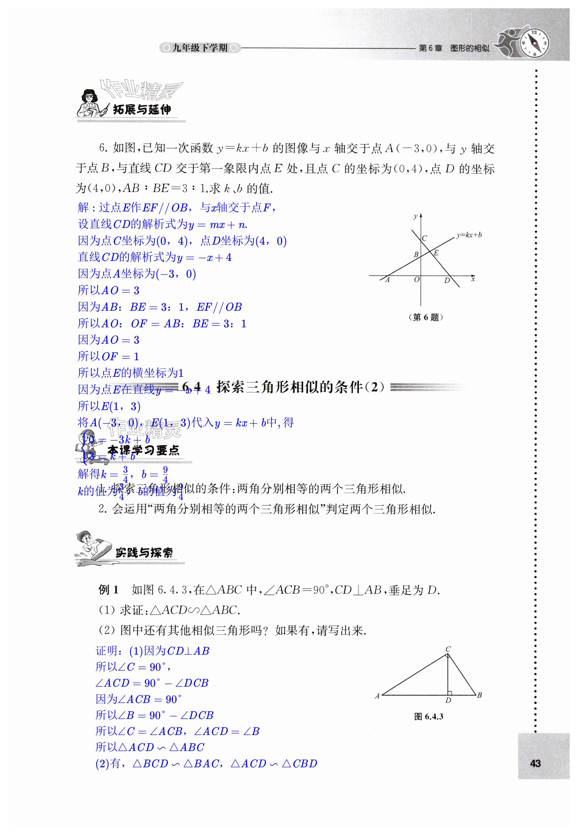 第43页