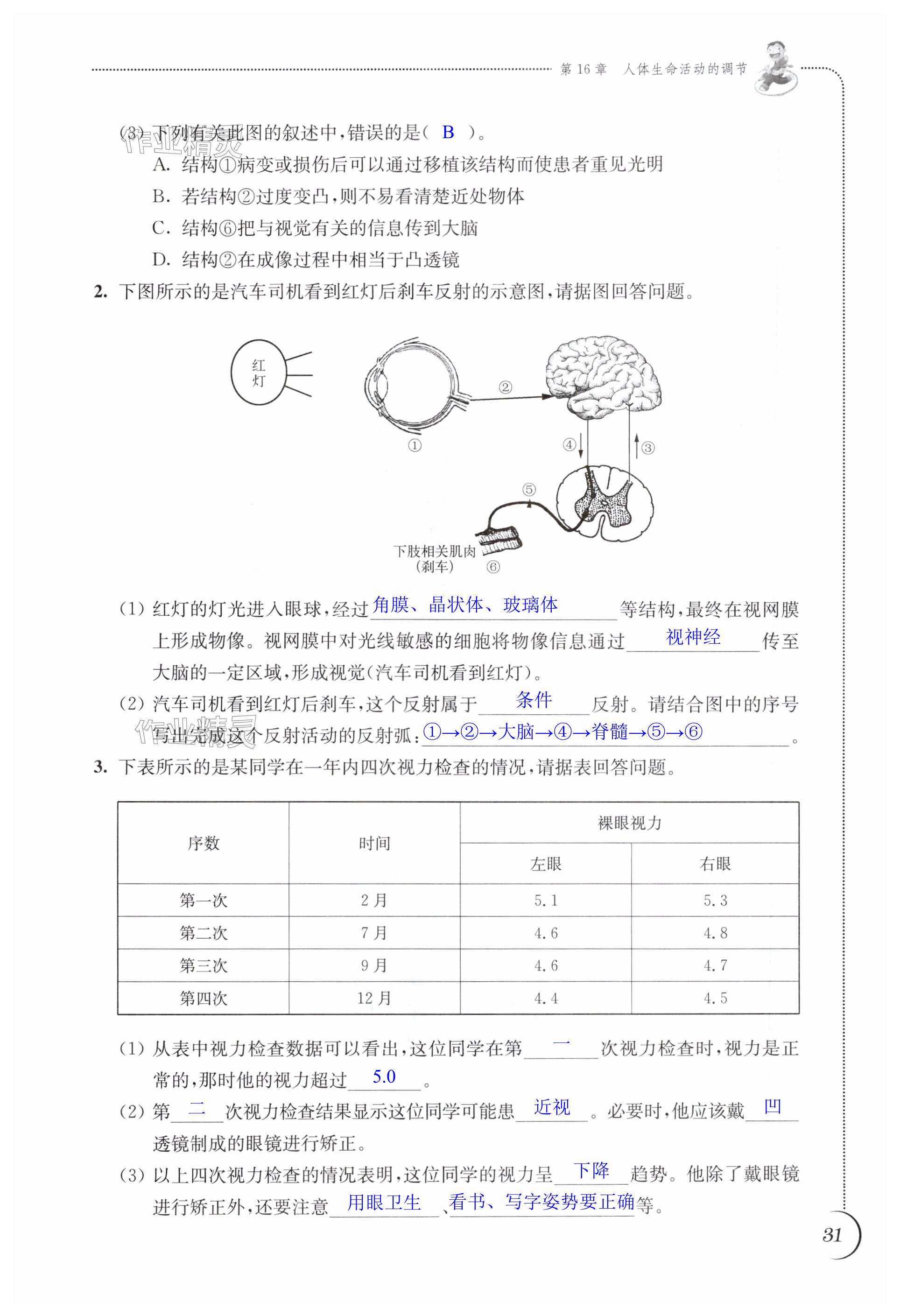 第31頁(yè)