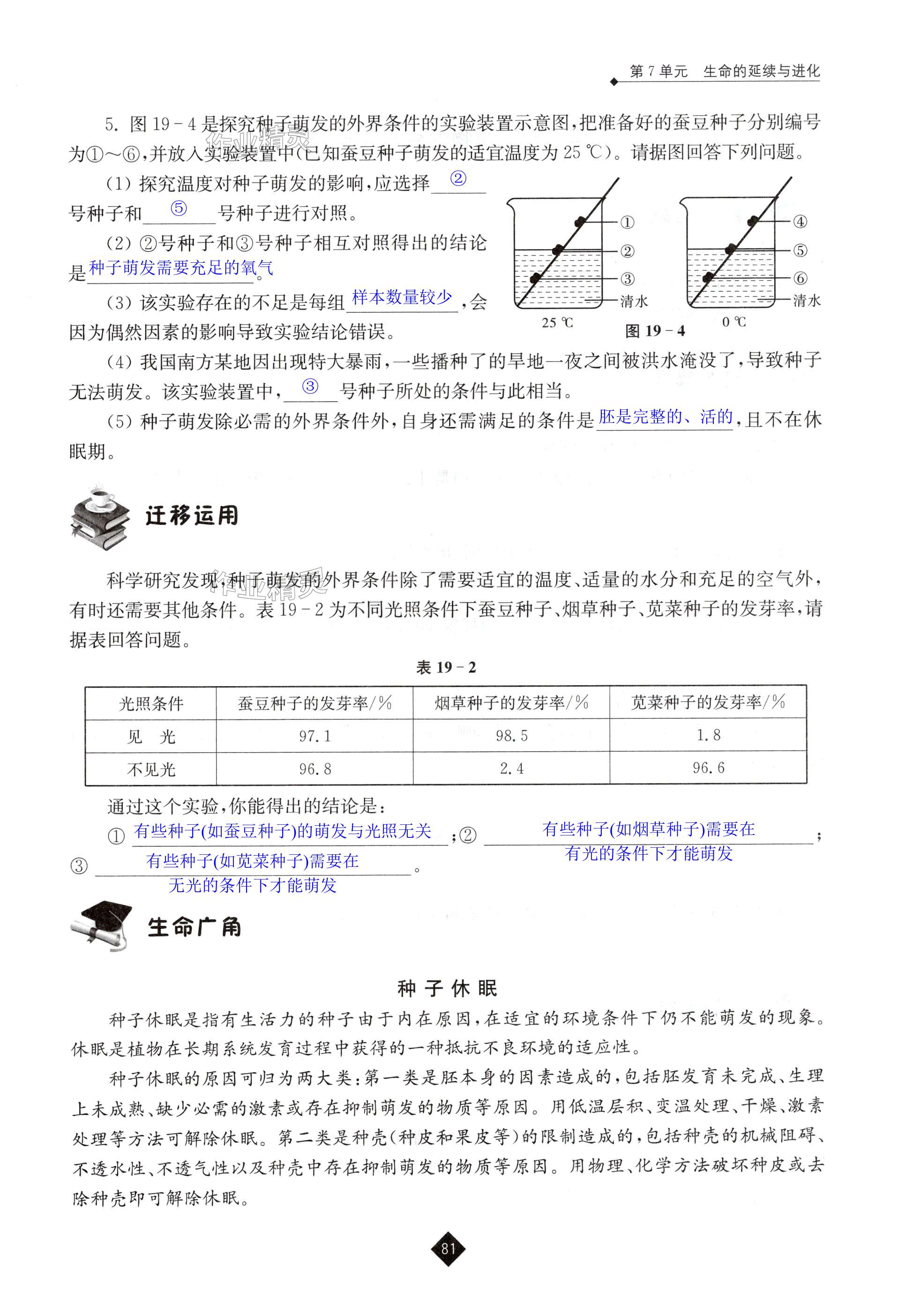 第81頁