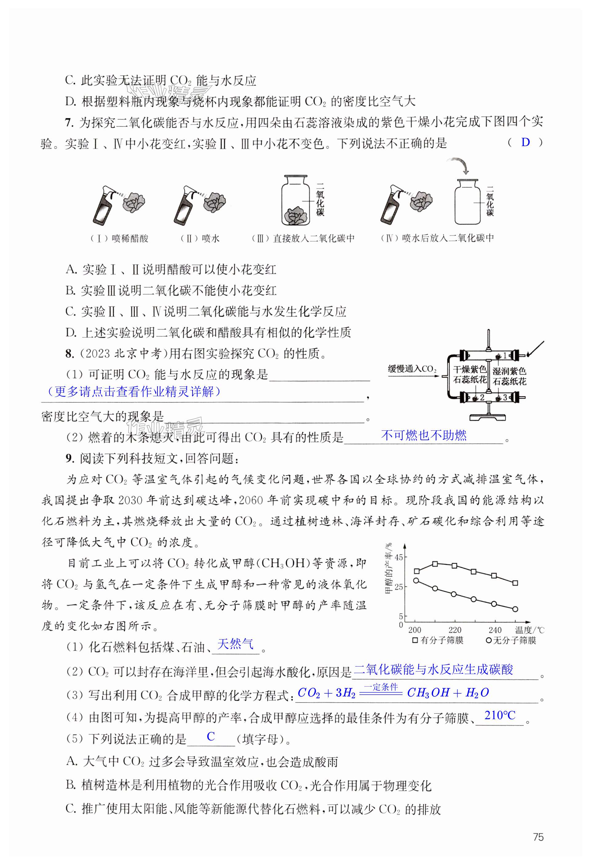 第75页