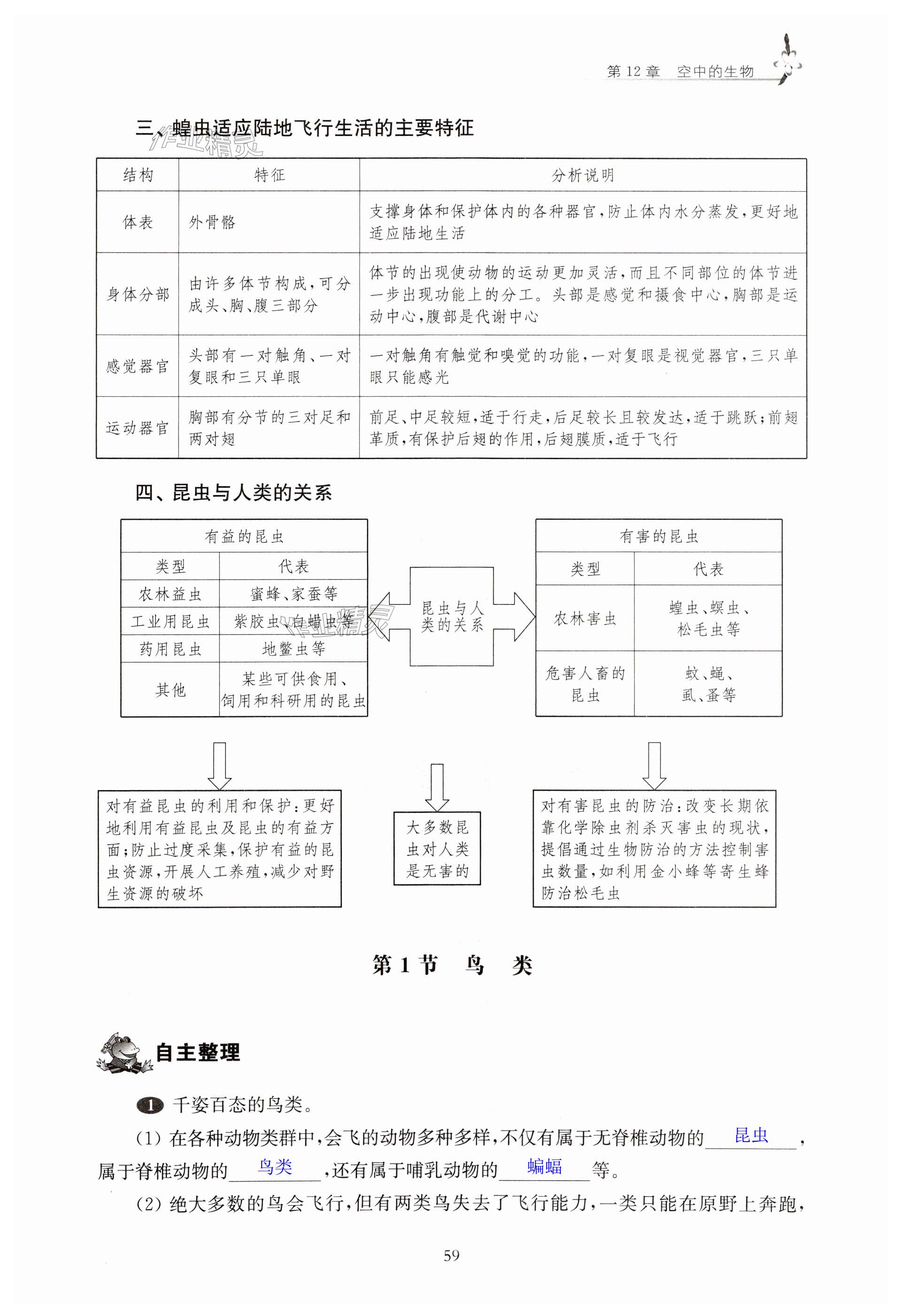 第59頁