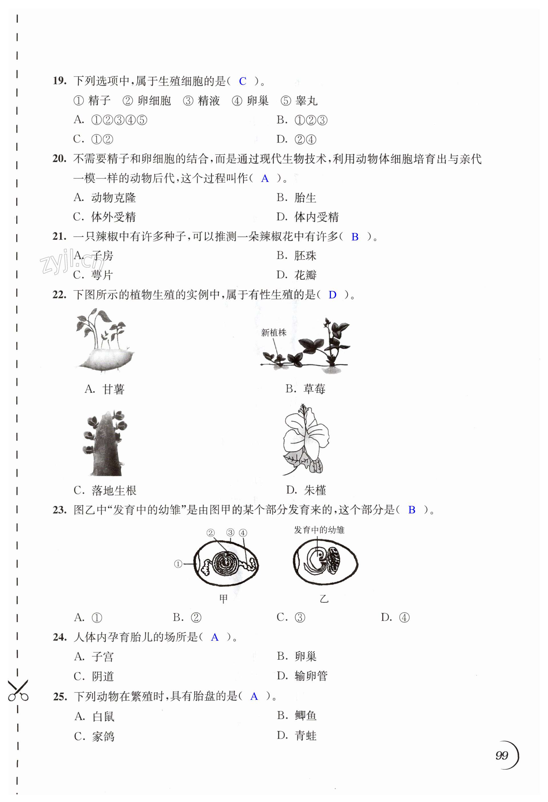 第99页