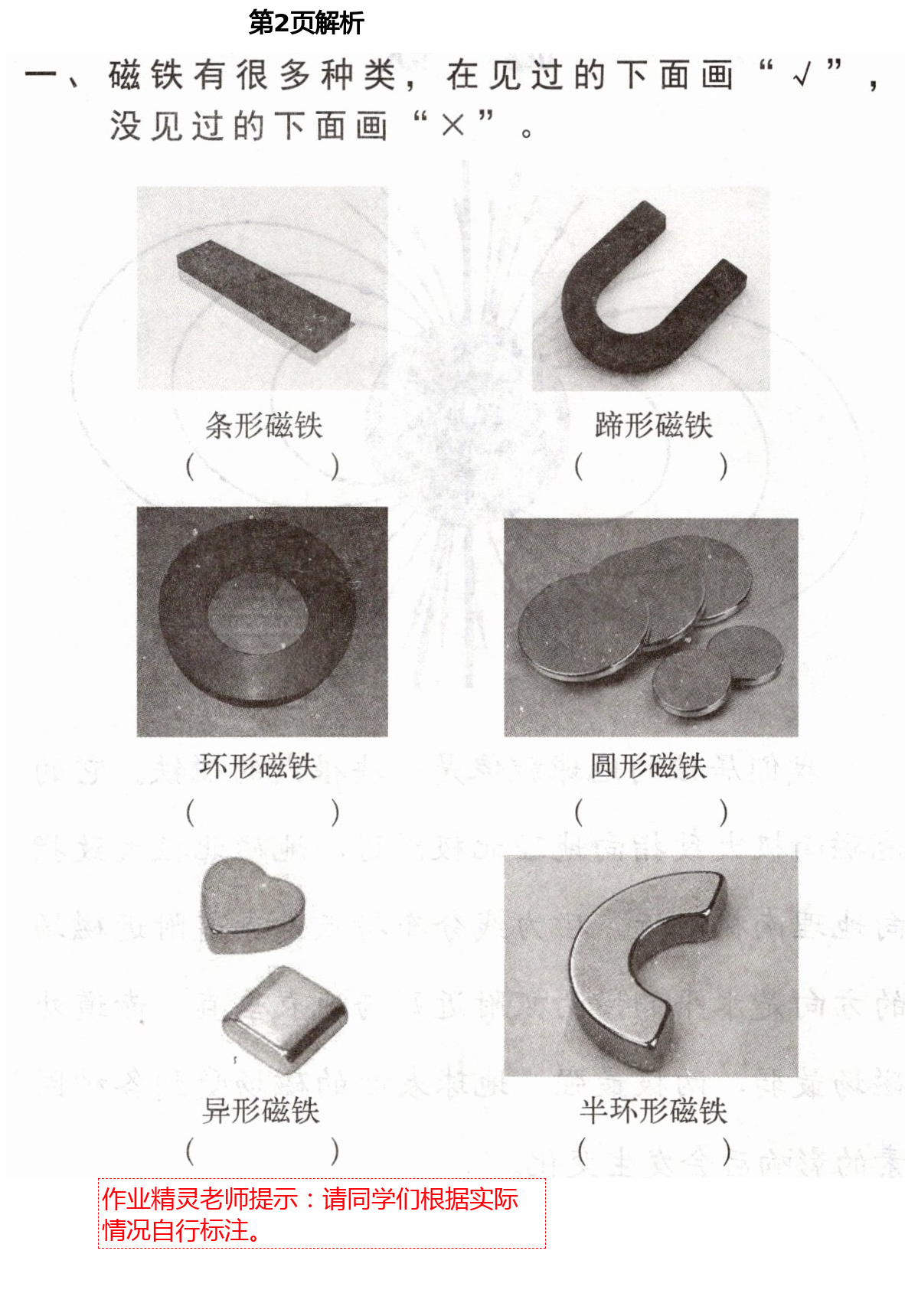 2021年新思維伴你學(xué)二年級(jí)科學(xué)下冊(cè)教科版 第2頁