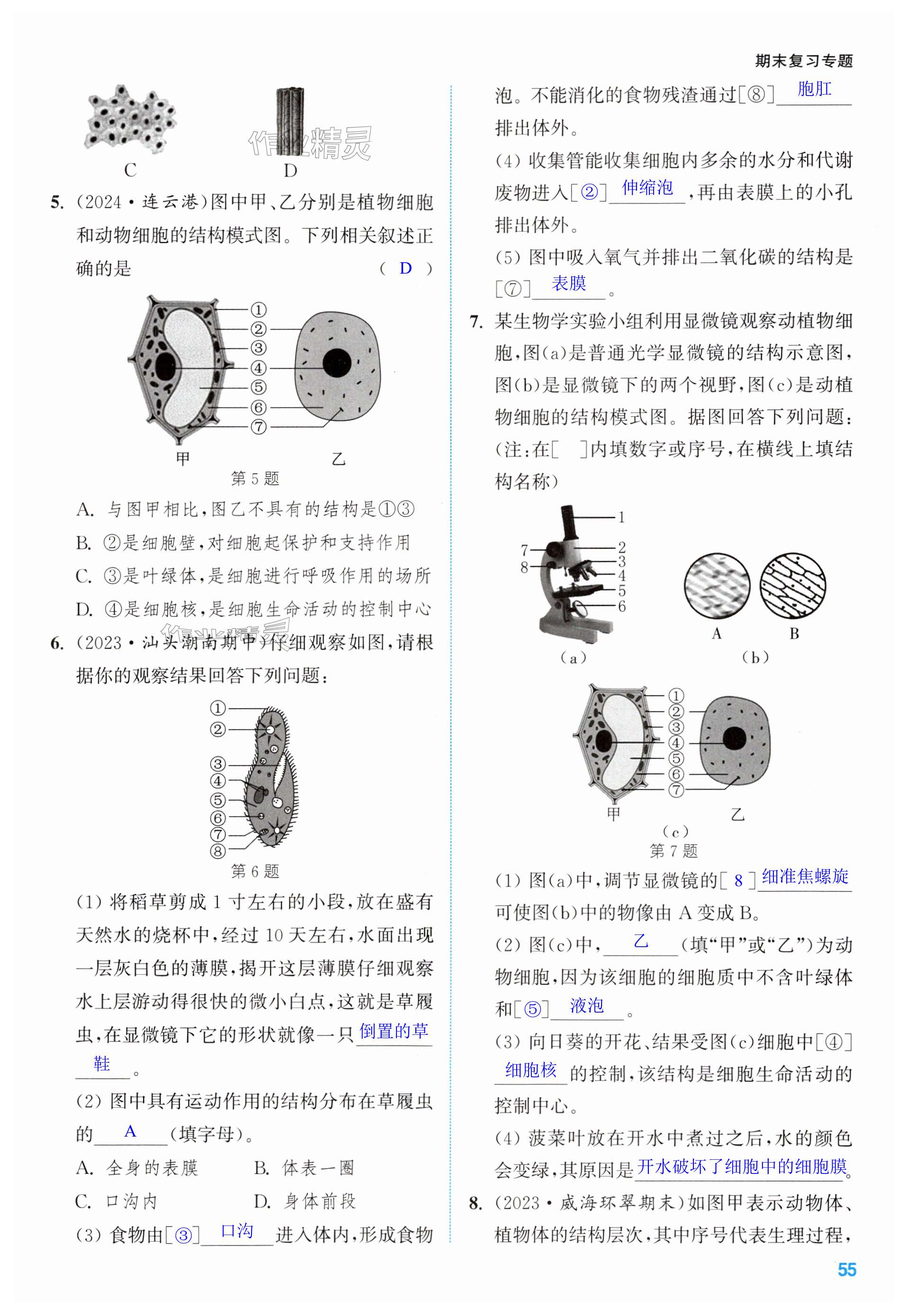 第55頁