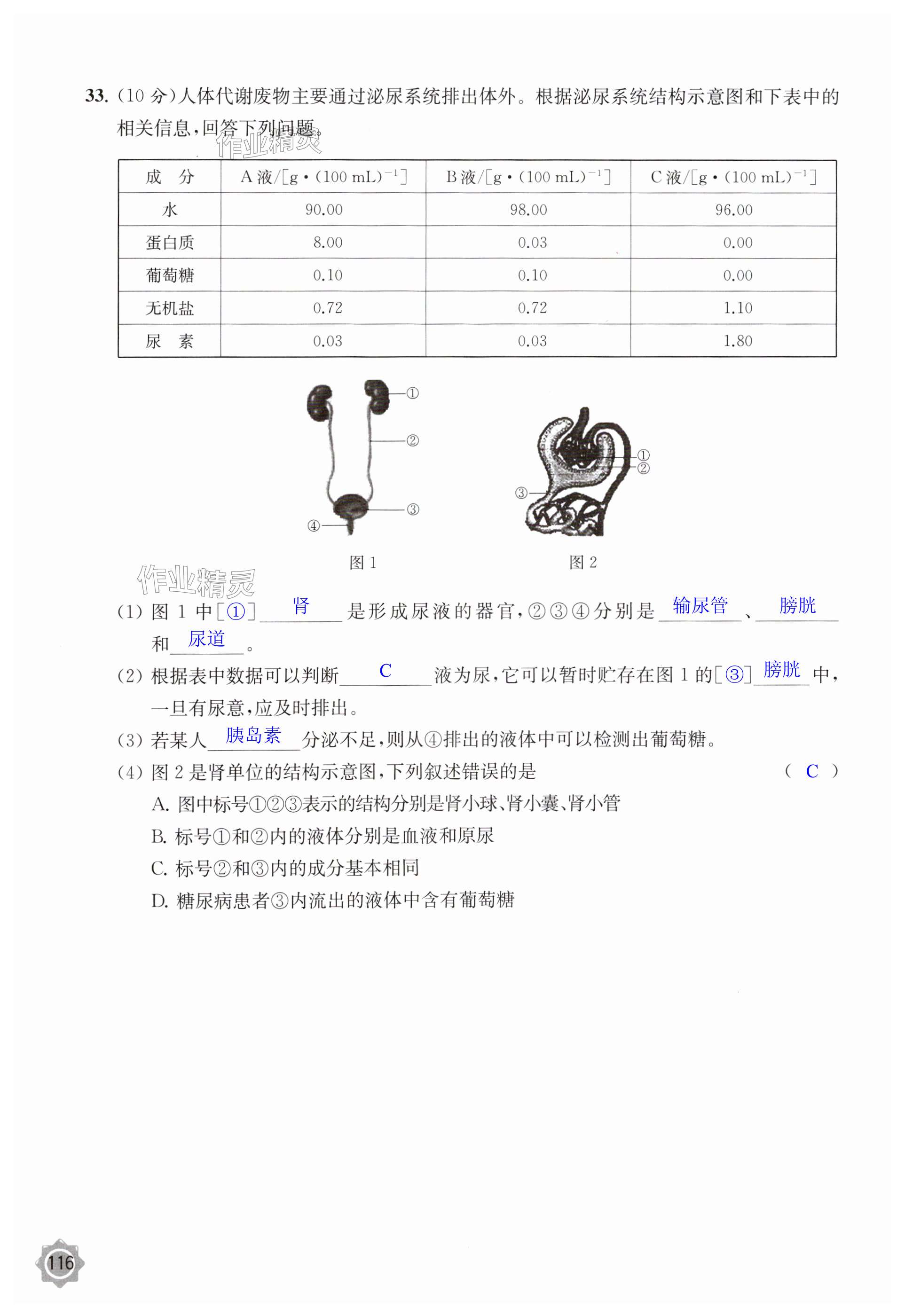 第116頁