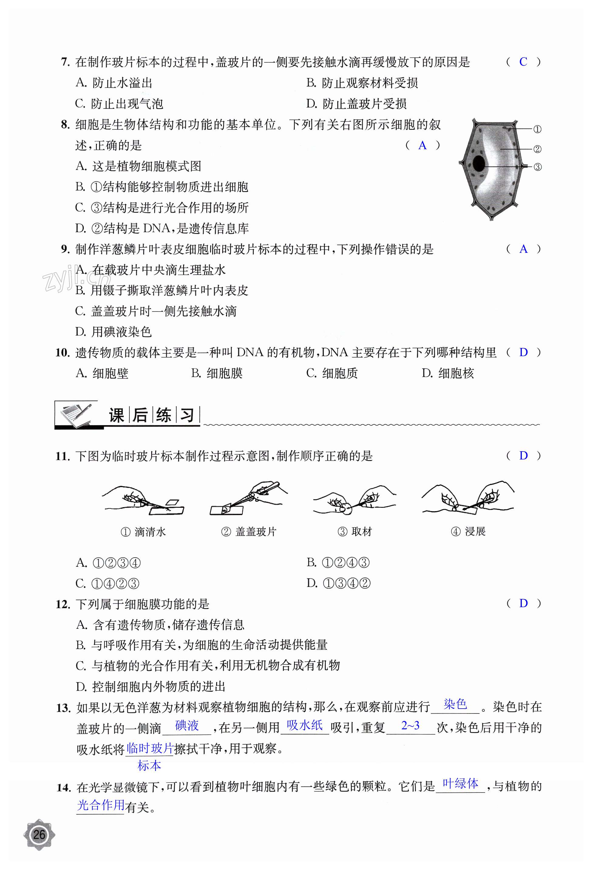 第26頁(yè)