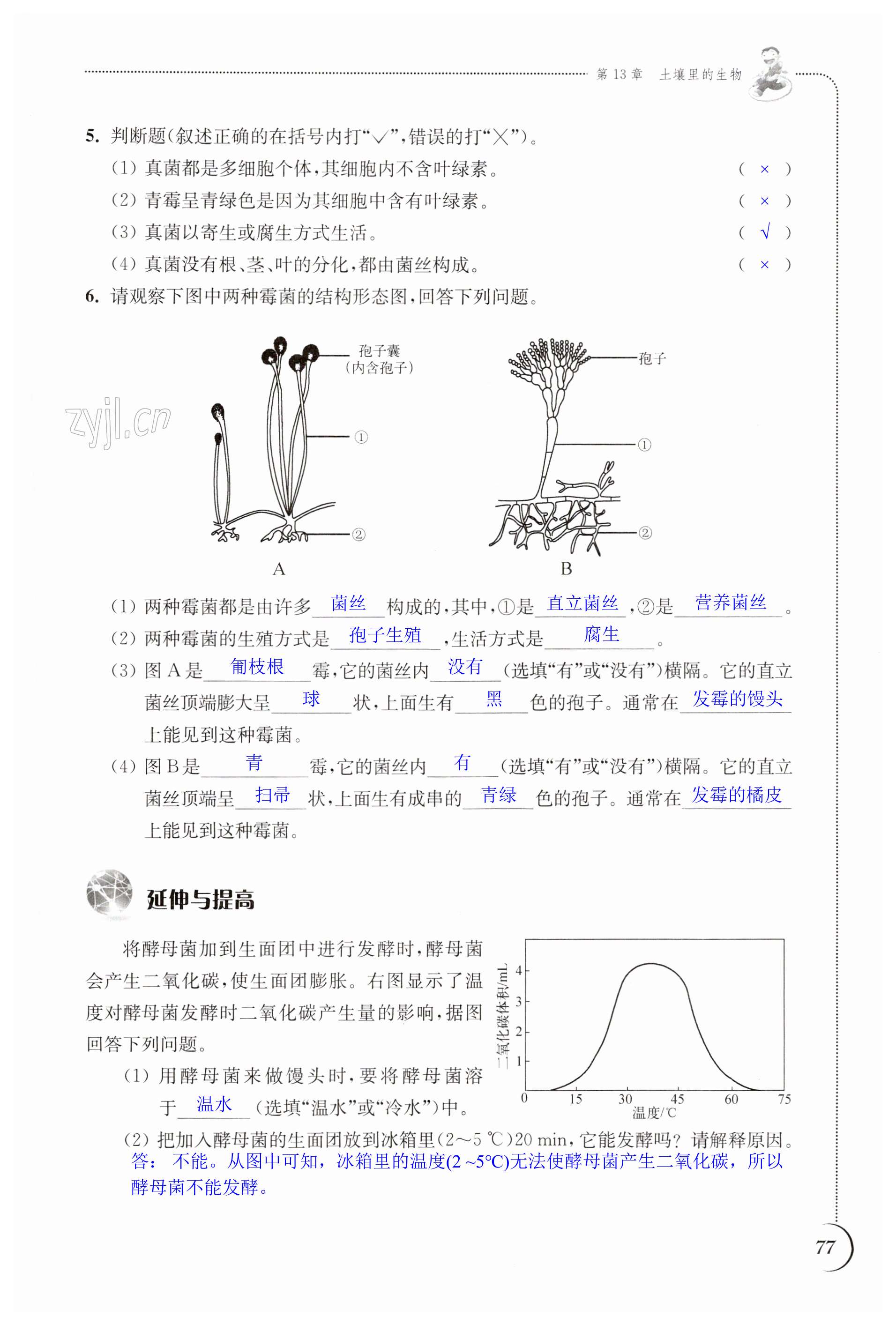 第77頁