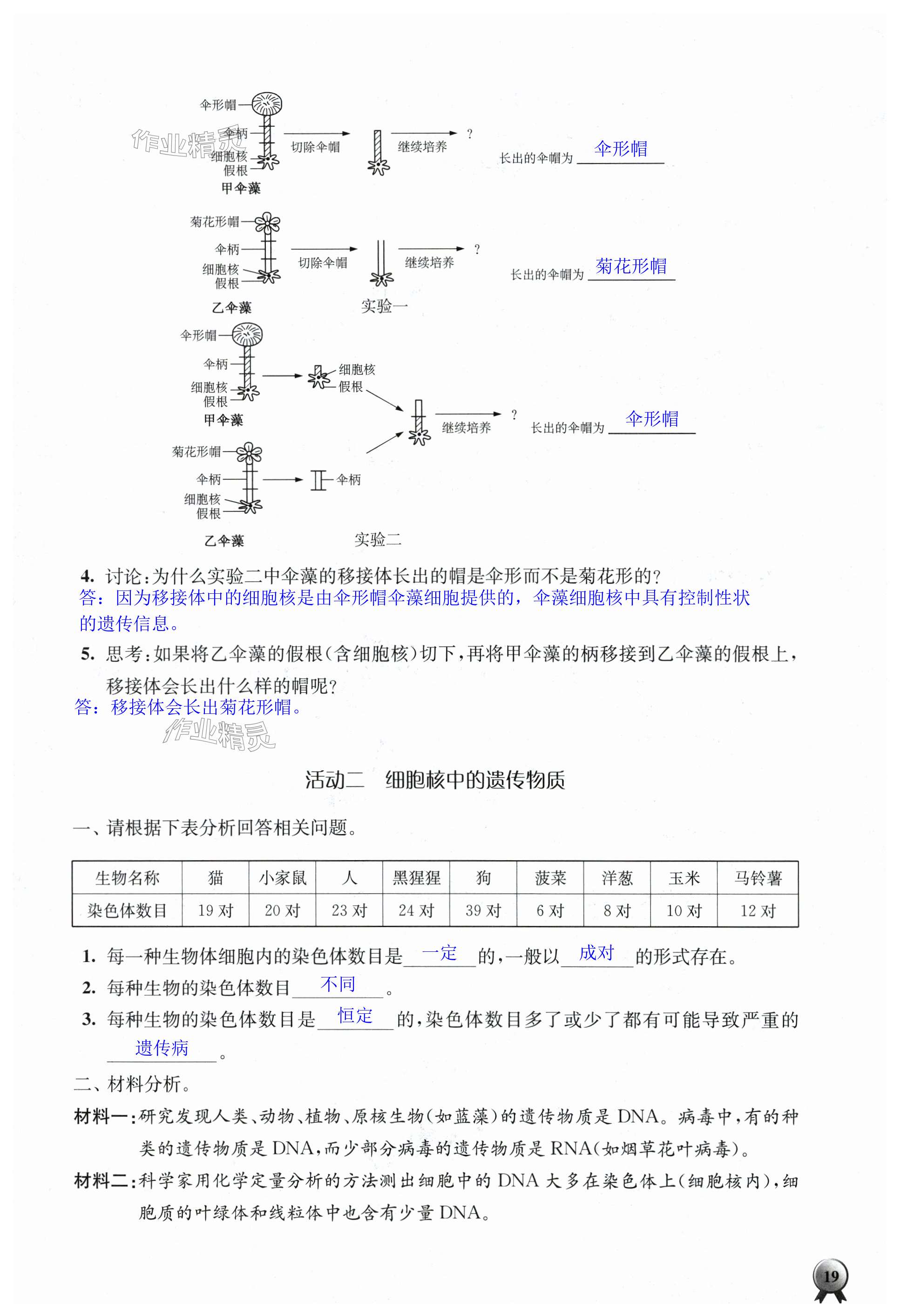 第19頁