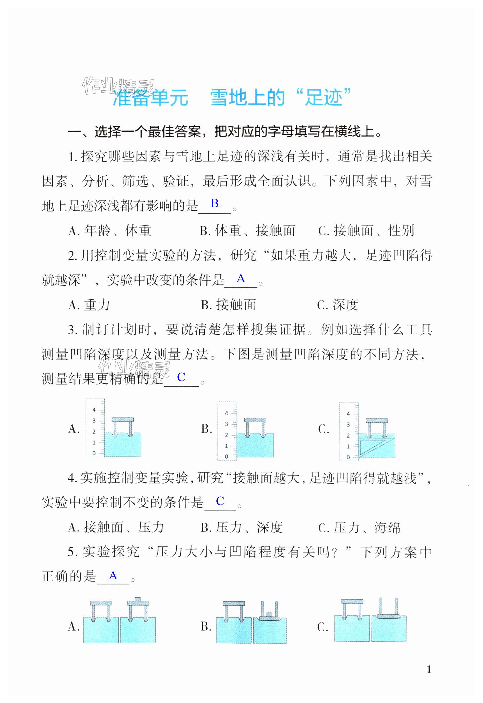 2025年科學探究與鞏固五年級下冊大象版 第1頁