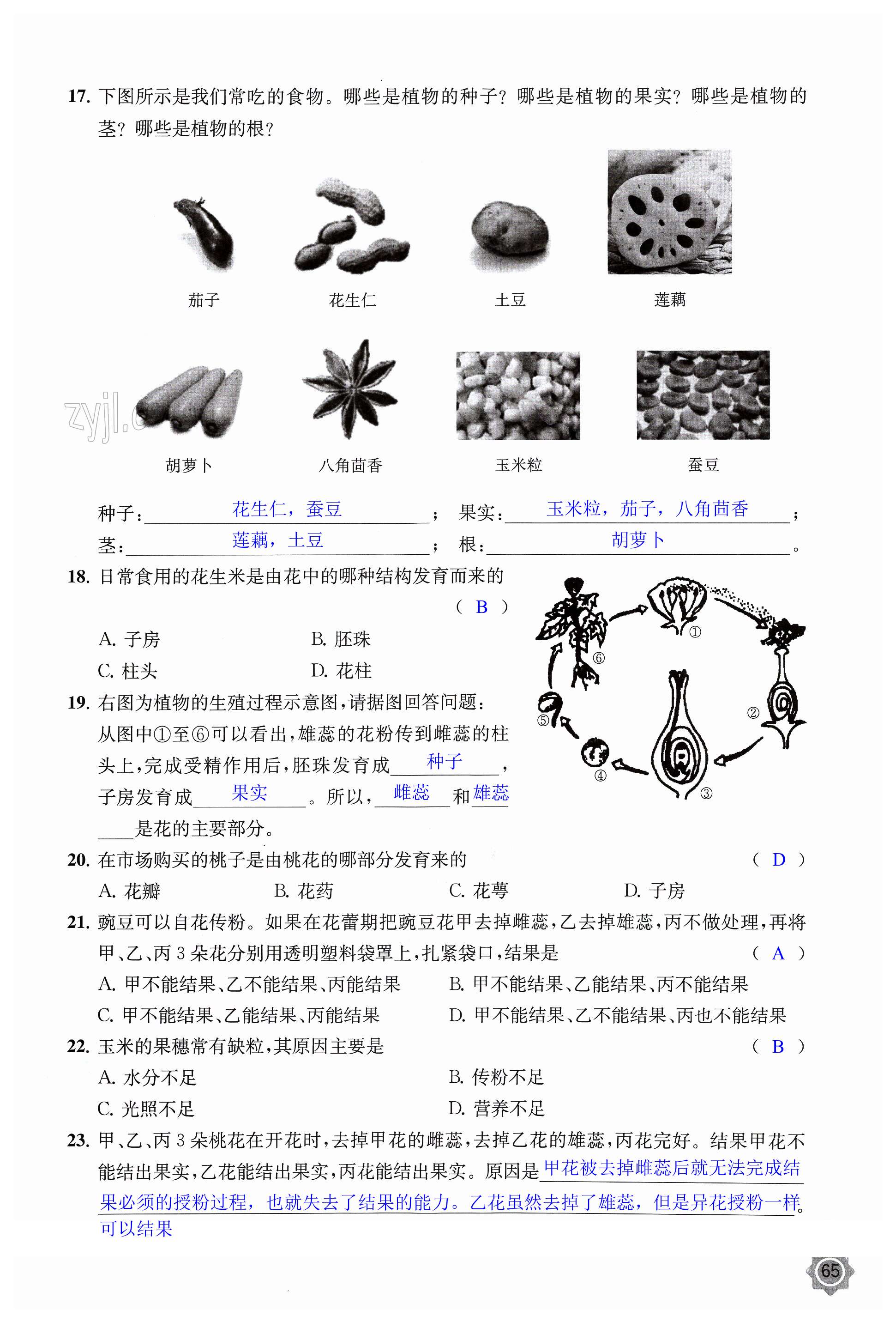 第65頁