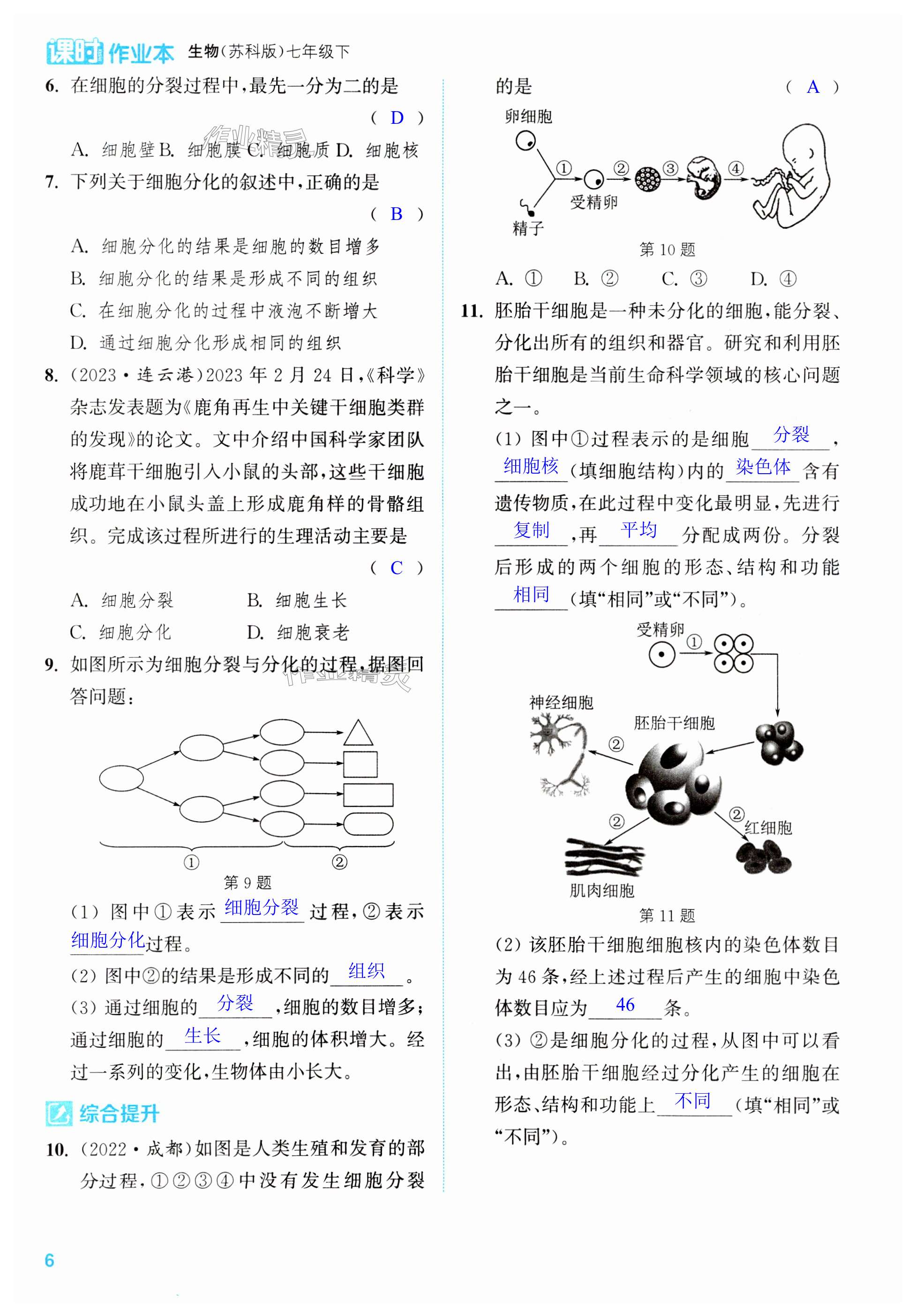 第6頁