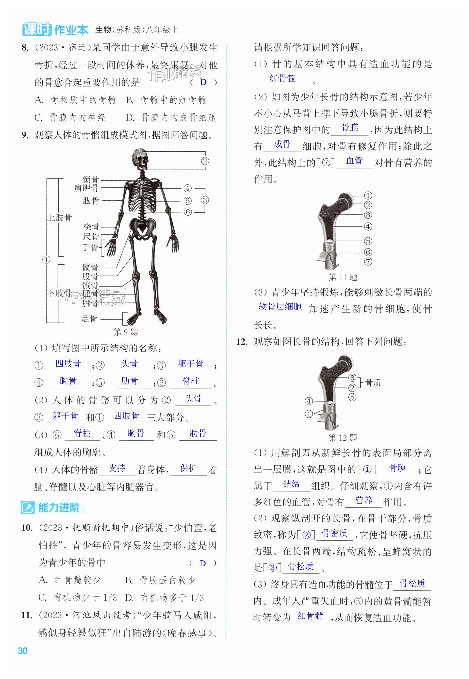 第30頁