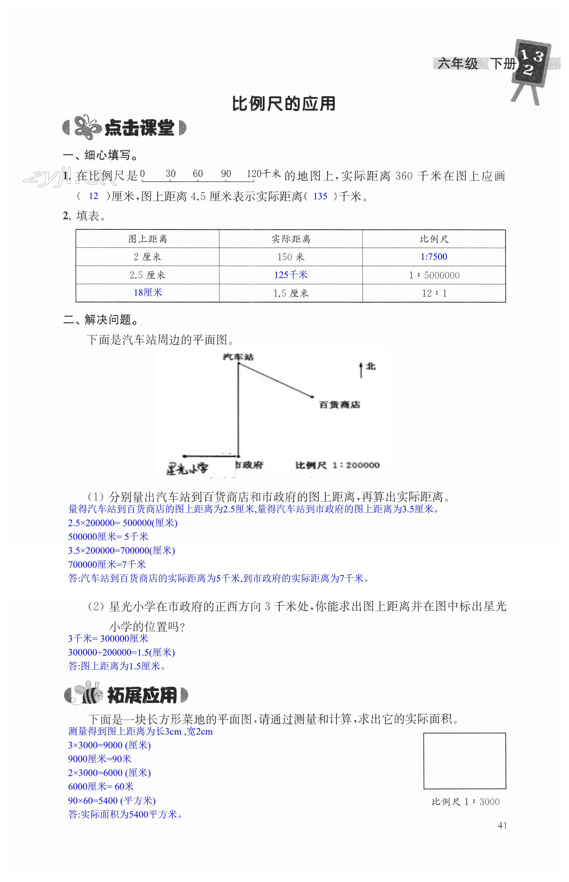 第41頁