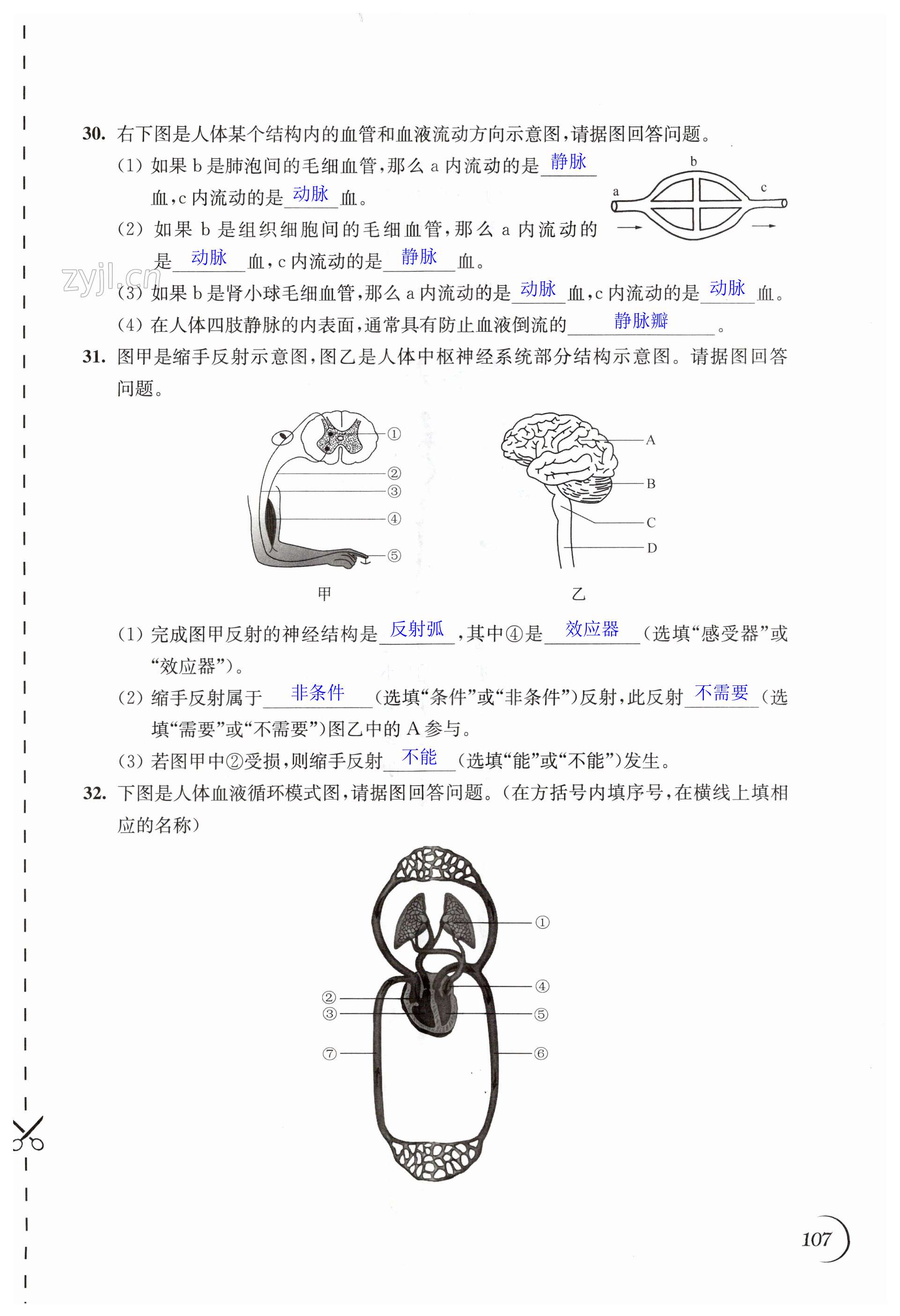 第107頁