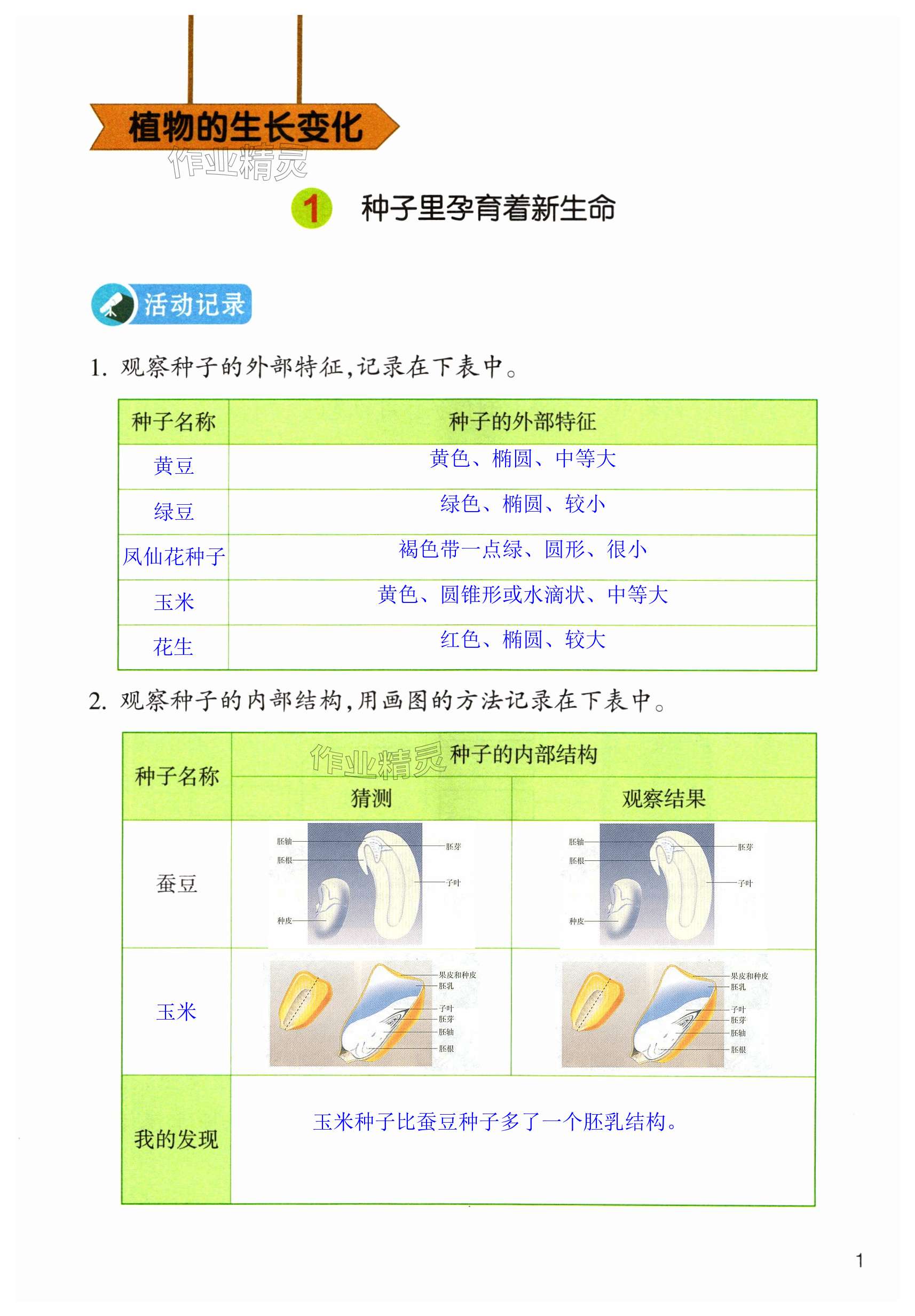 2024年作業(yè)本浙江教育出版社四年級(jí)科學(xué)下冊(cè)教科版 第1頁(yè)