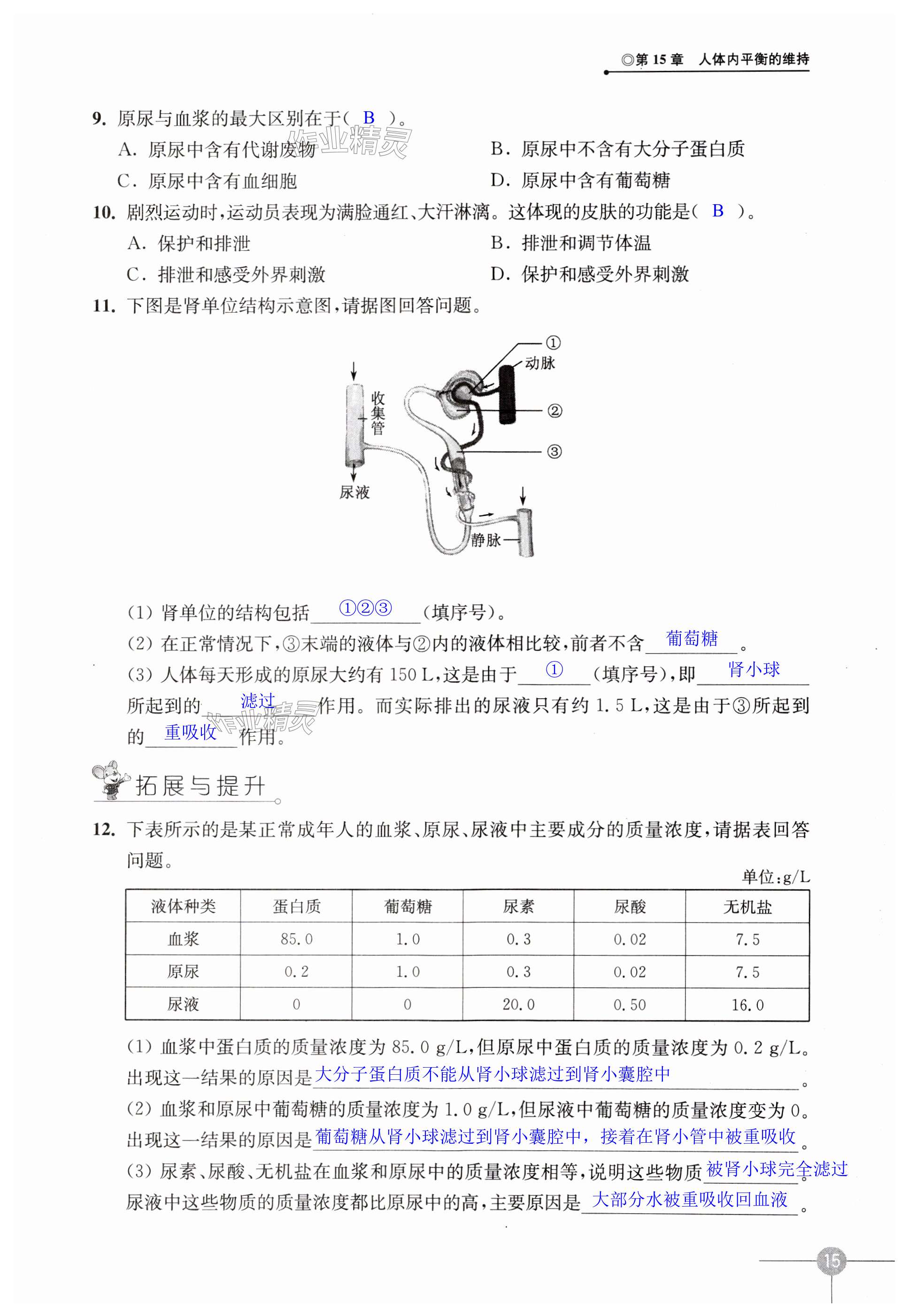 第15頁