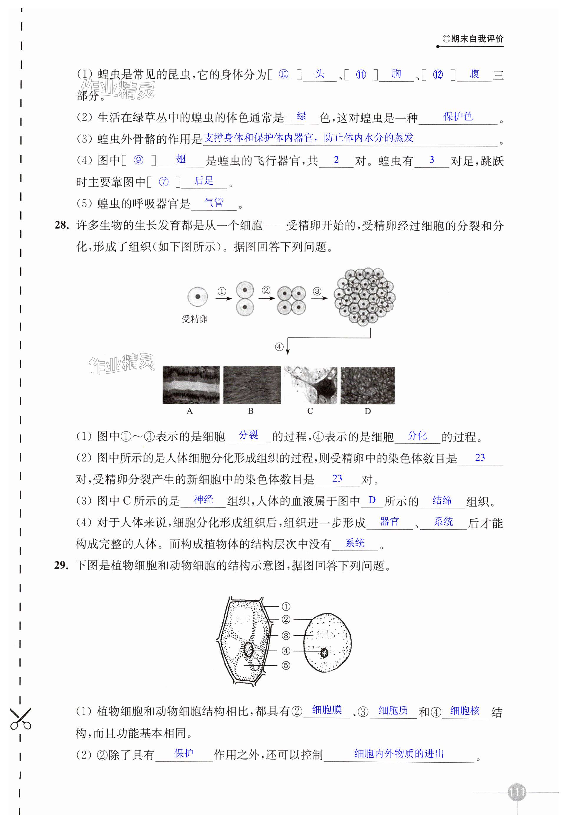 第111页