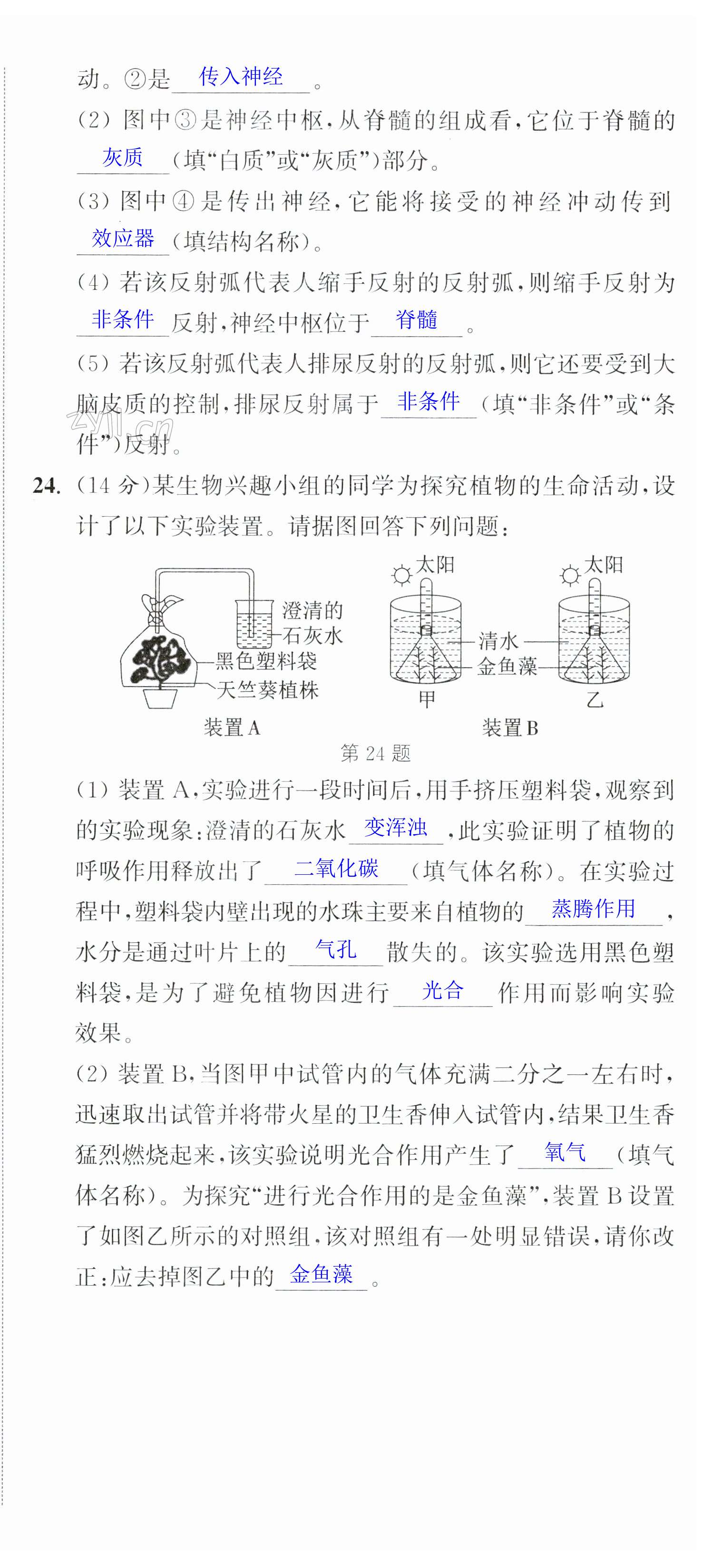 第24頁