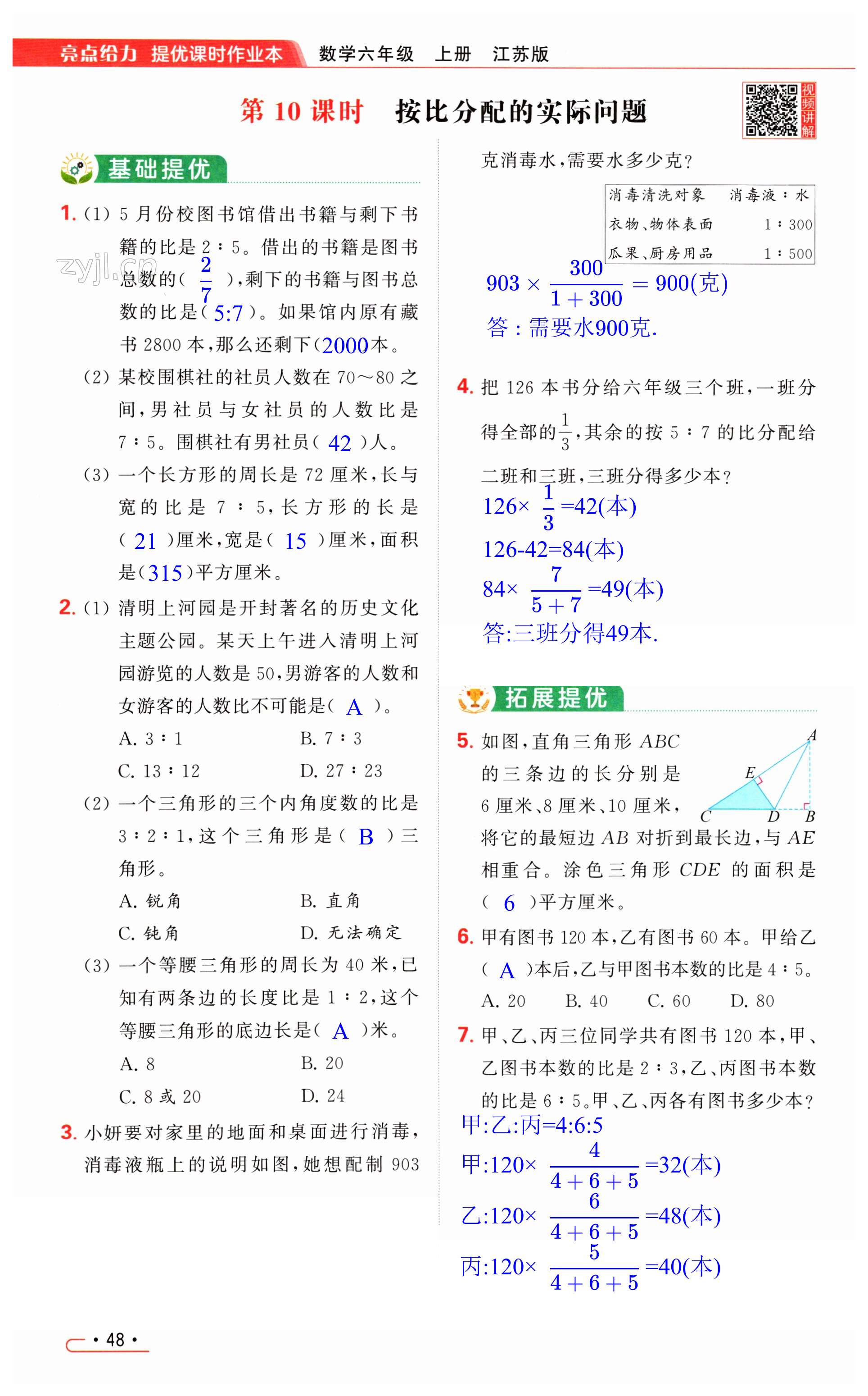 第48页