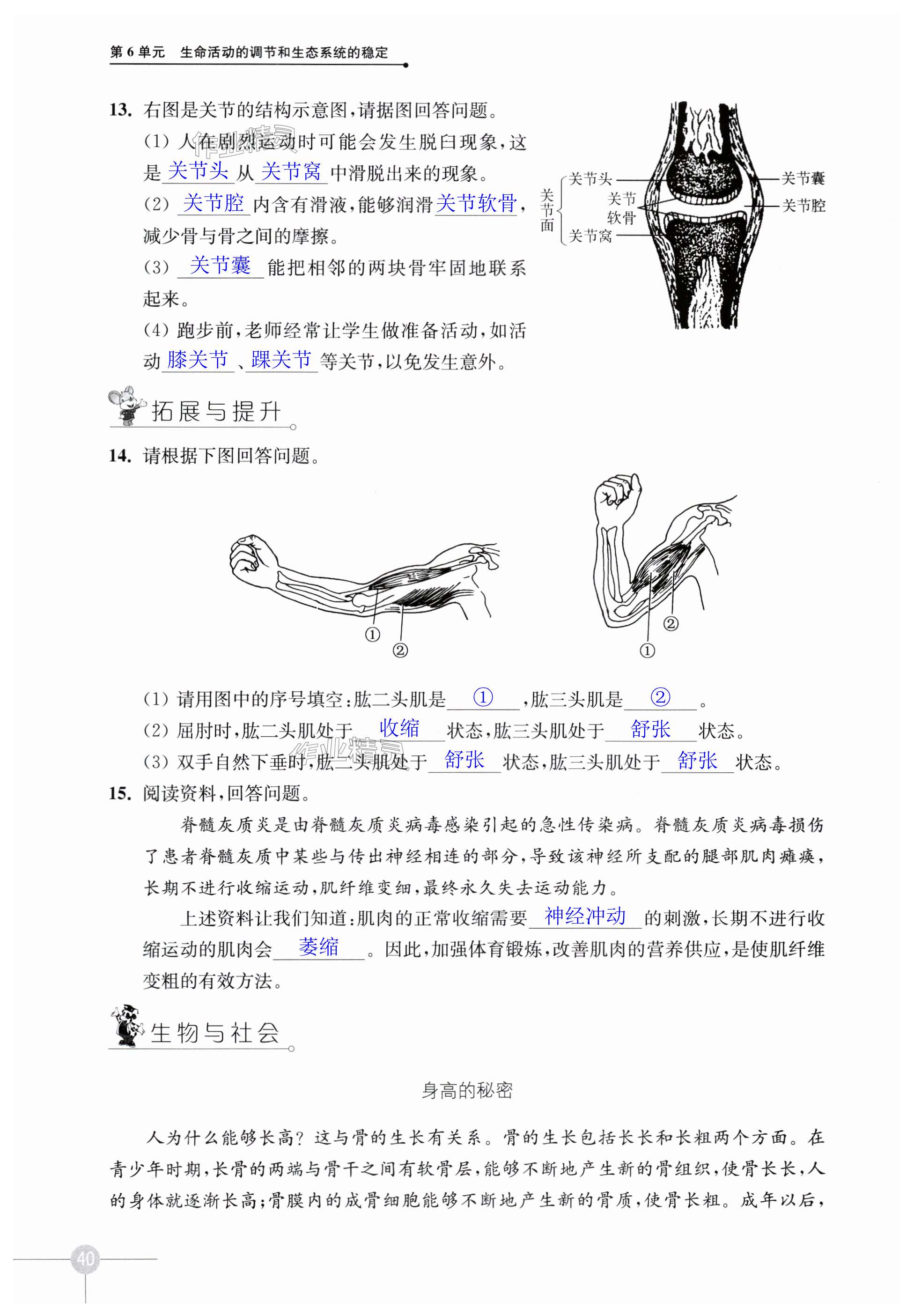第40页