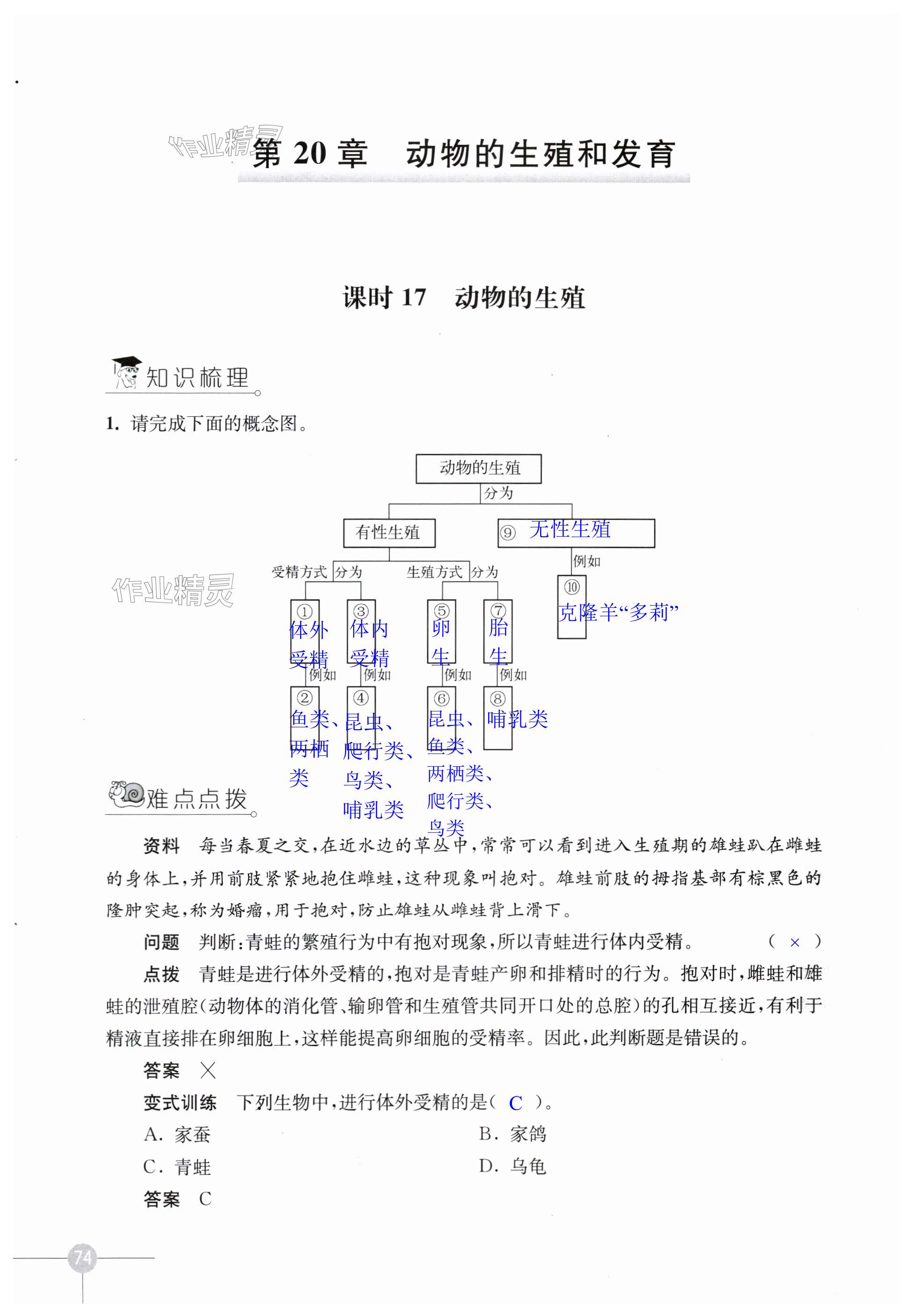 第74頁