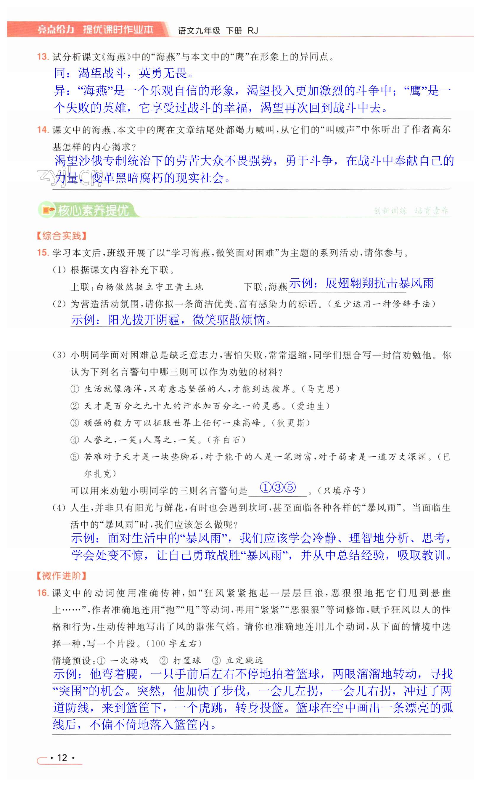 第12页