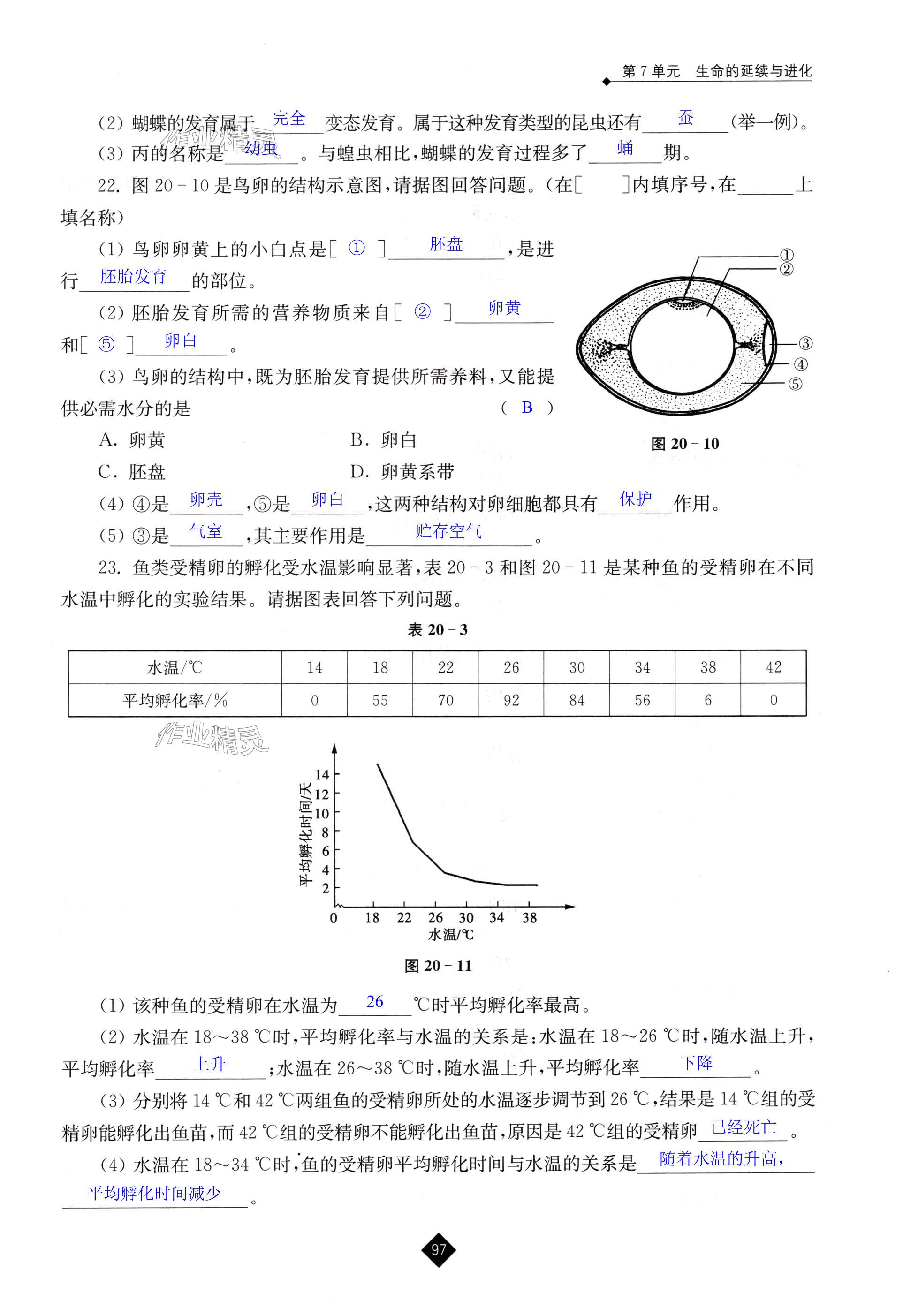 第97頁