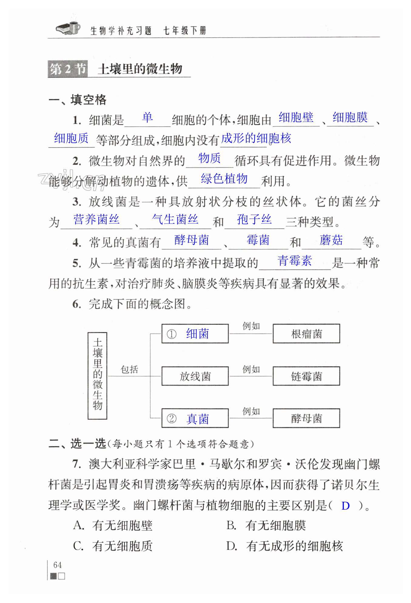 第64页