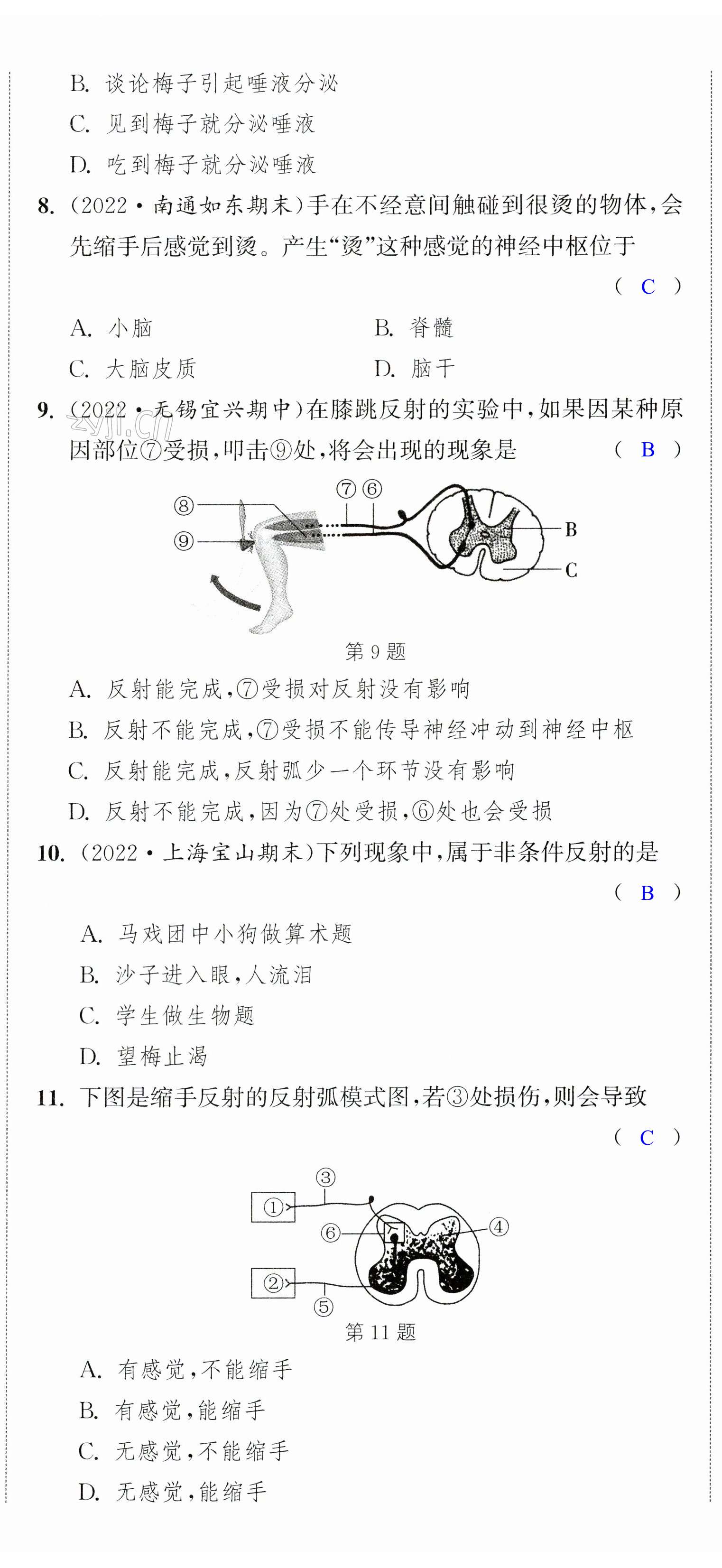 第8頁