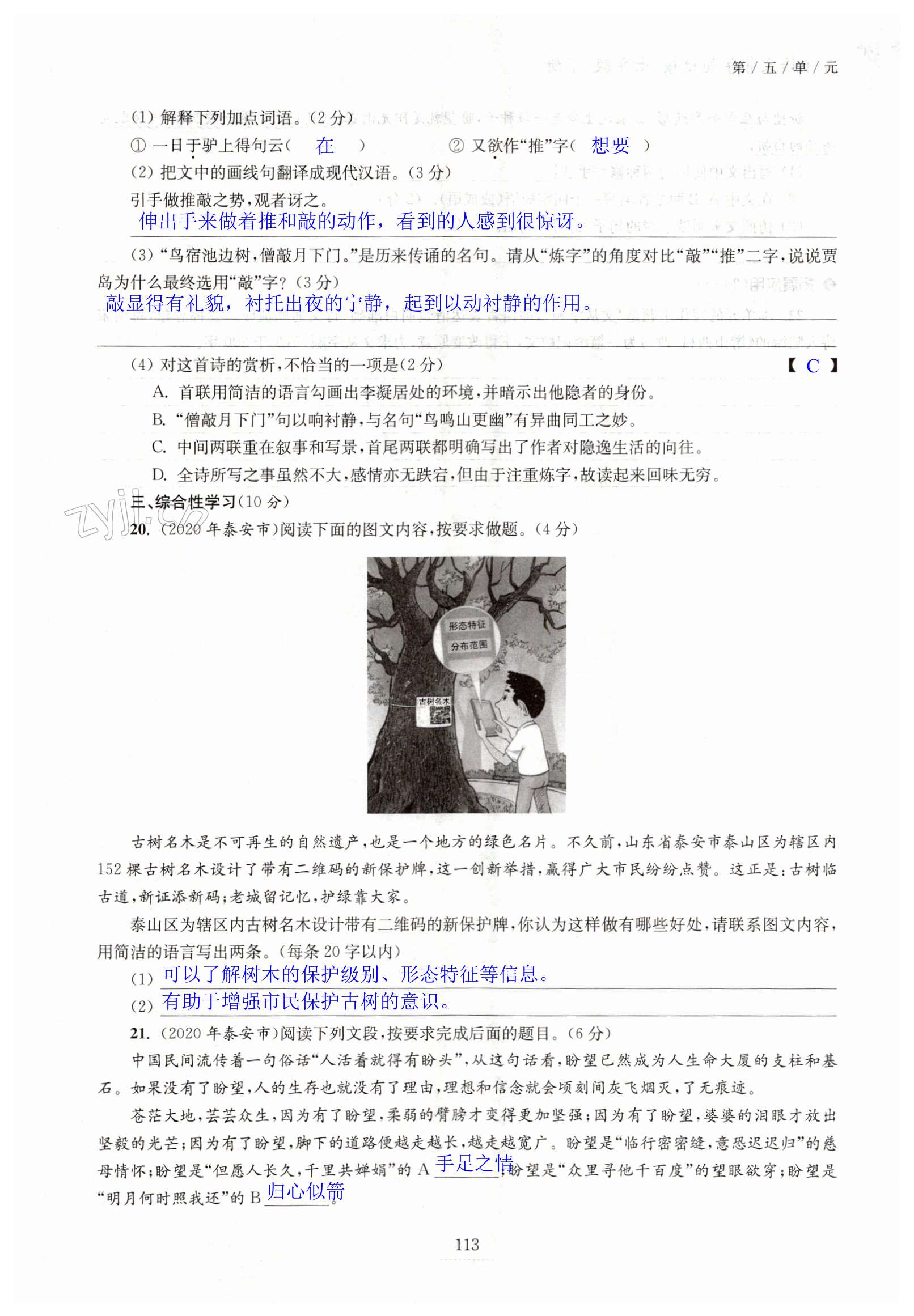 第113页