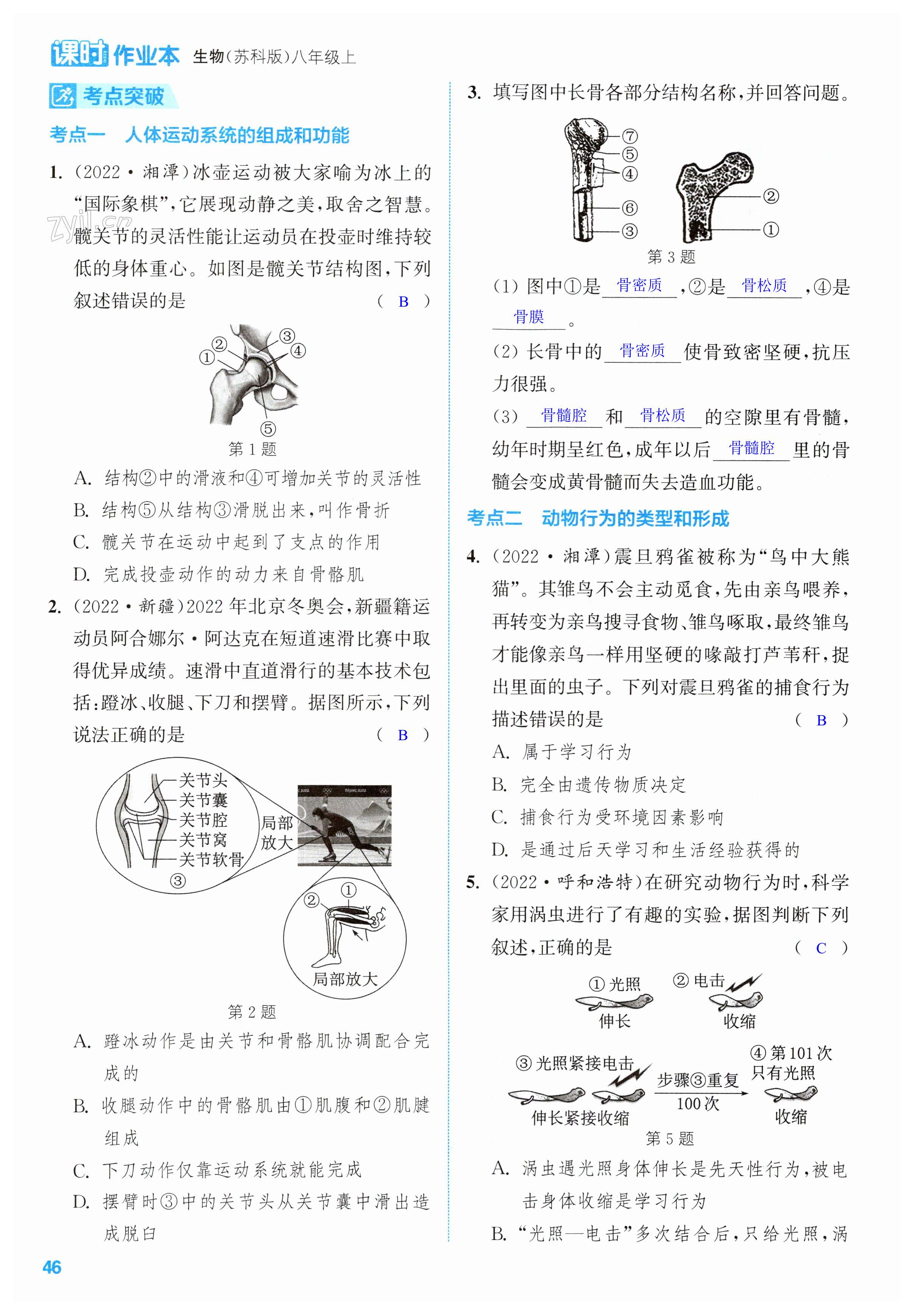 第46頁