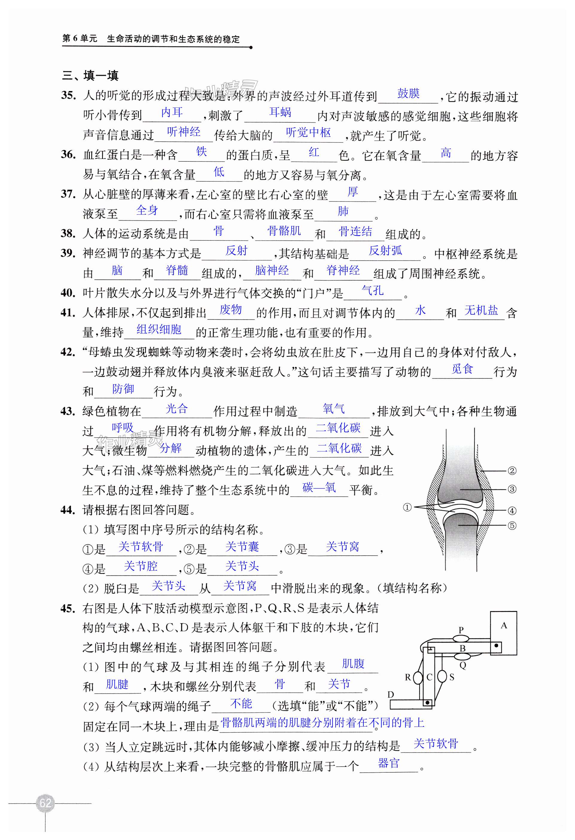 第62頁