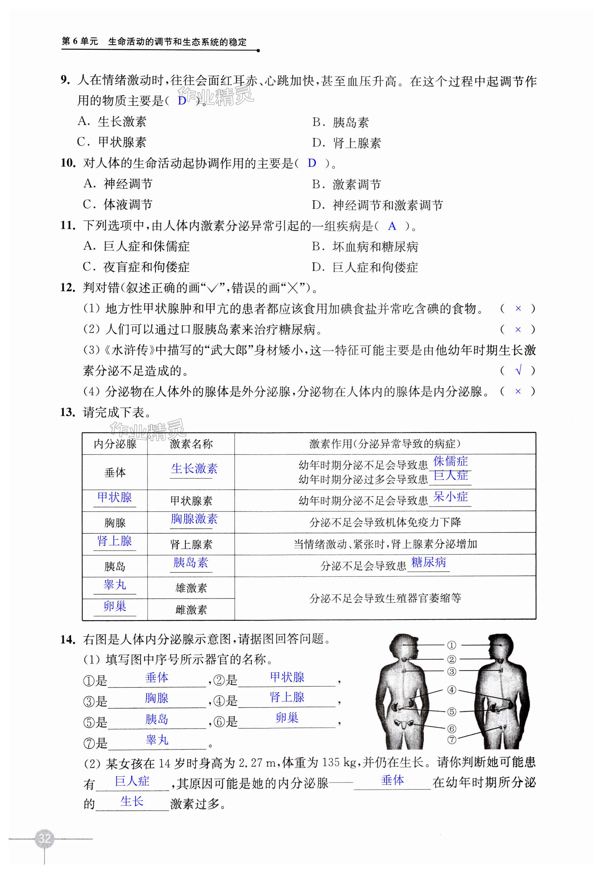 第32頁