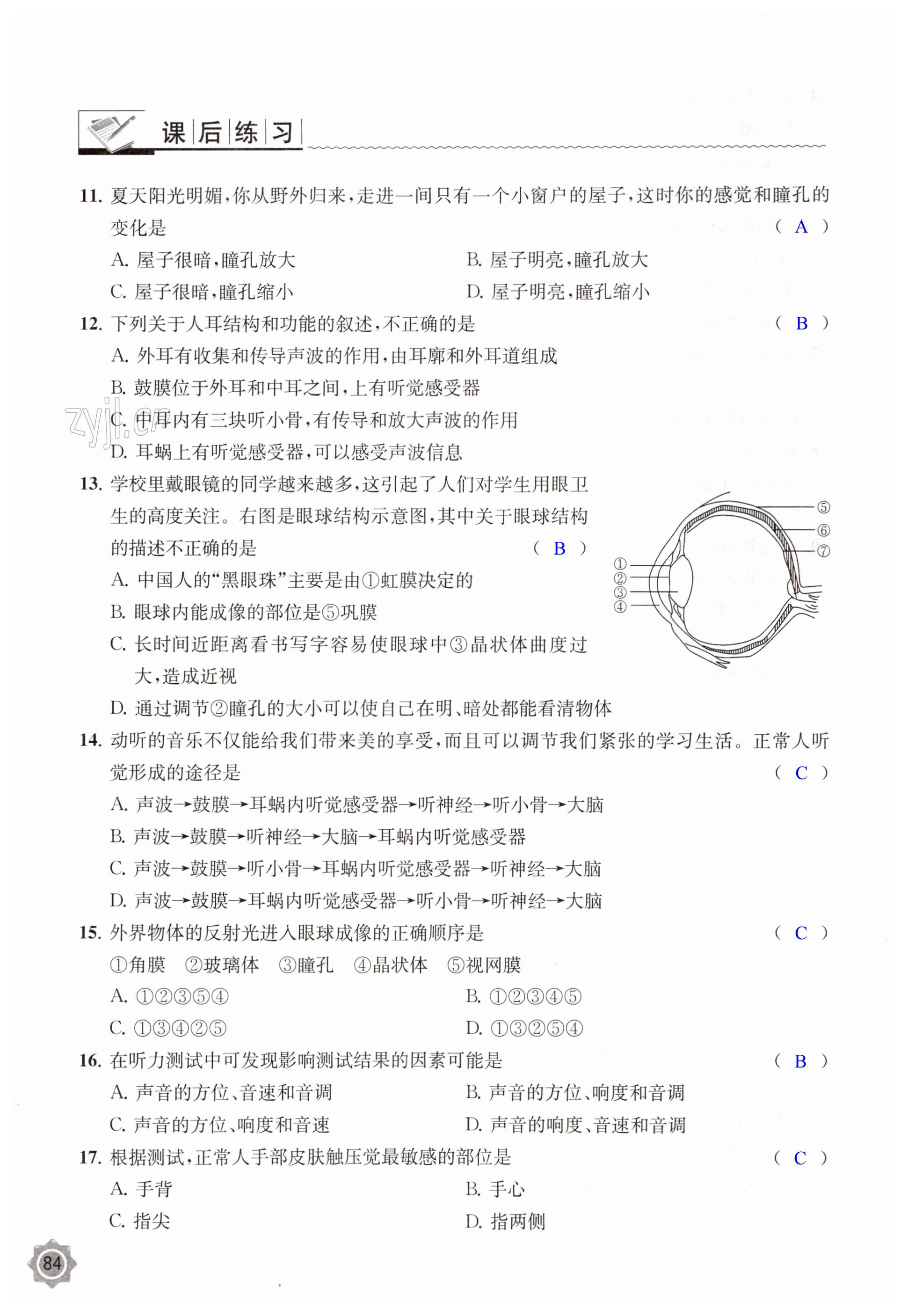 第84页