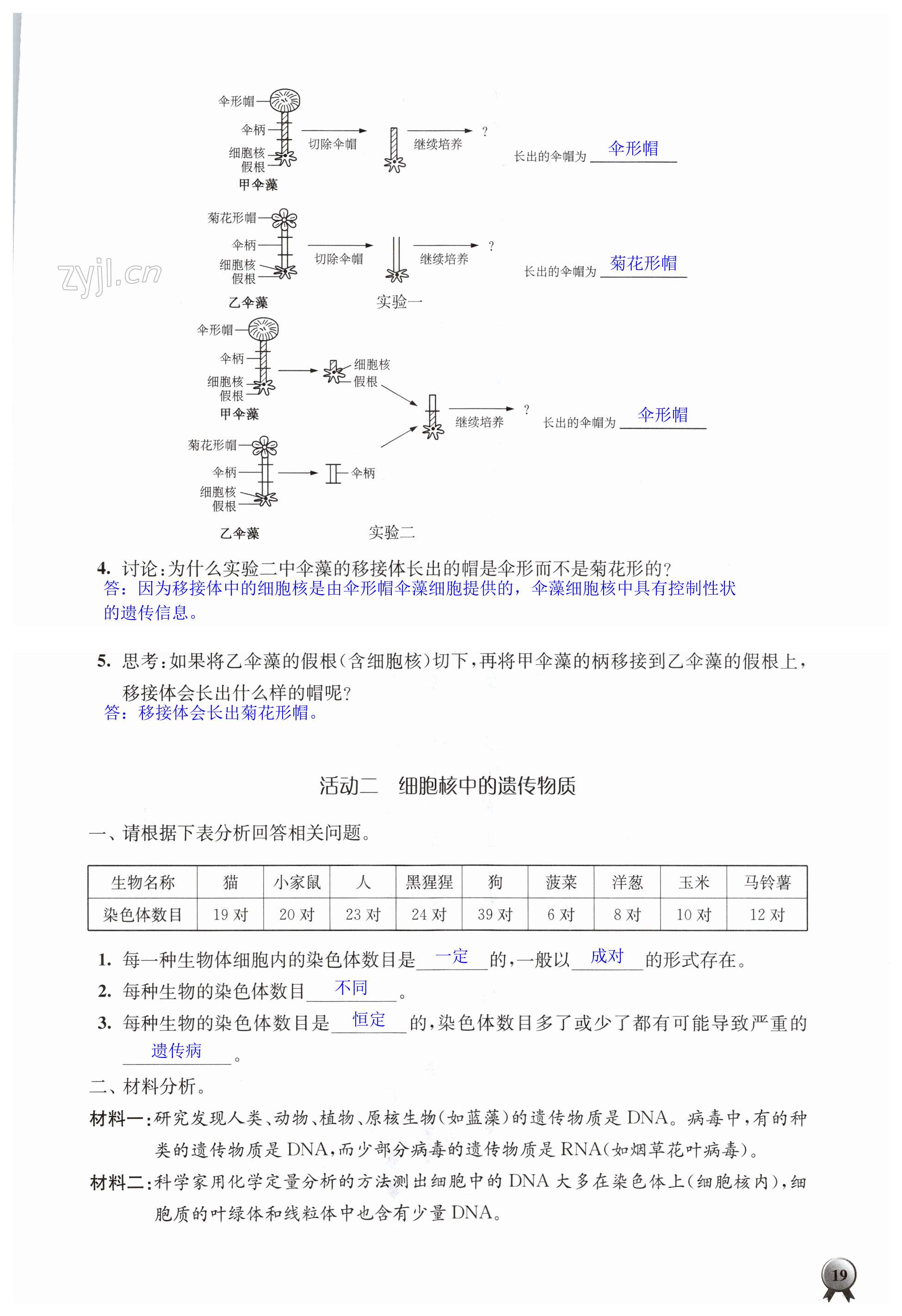 第19頁