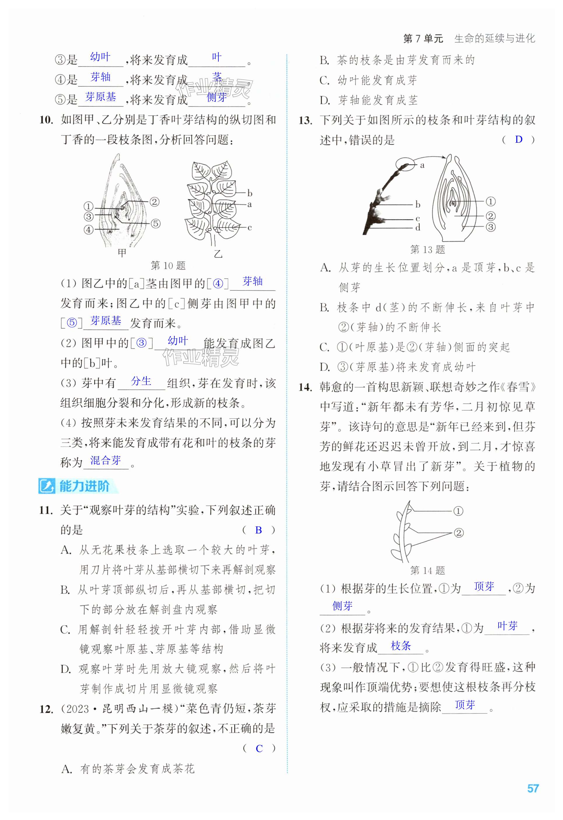 第57頁