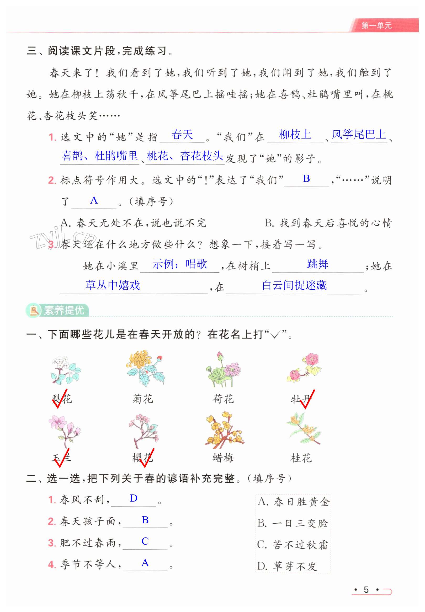 第5页