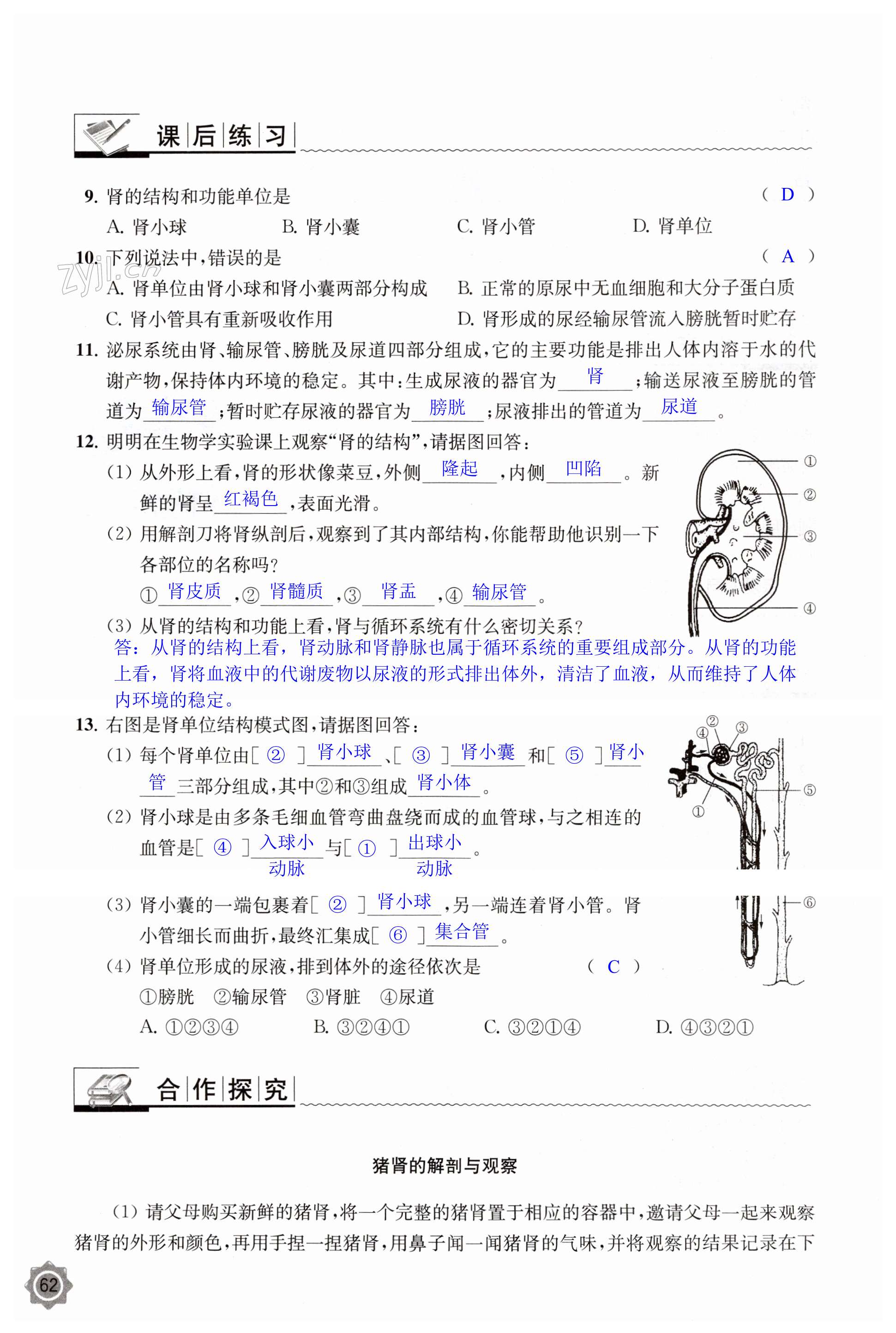 第62页