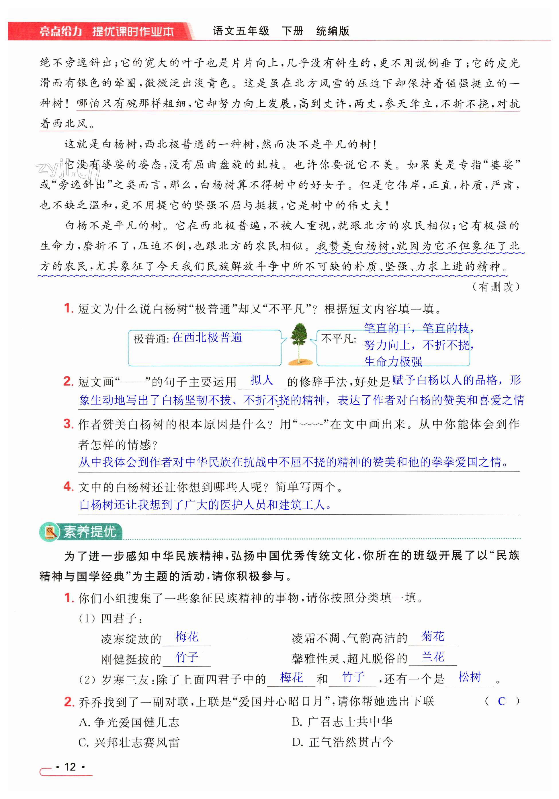 第12页