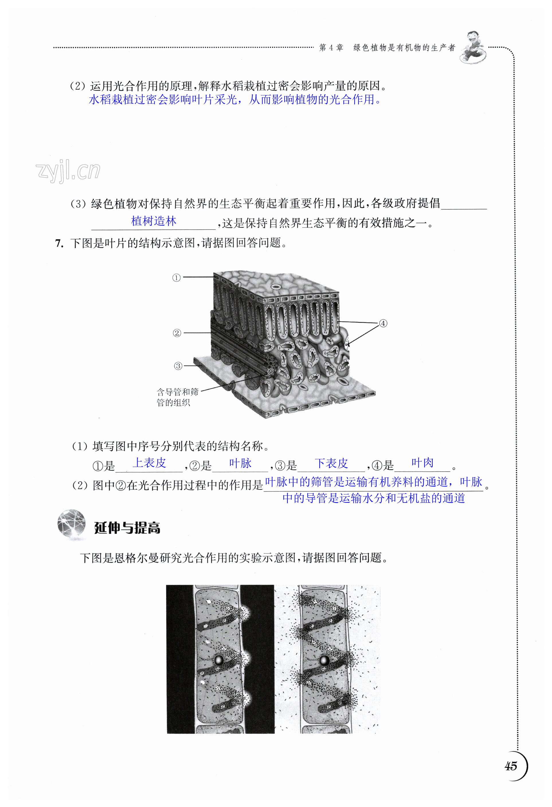 第45頁