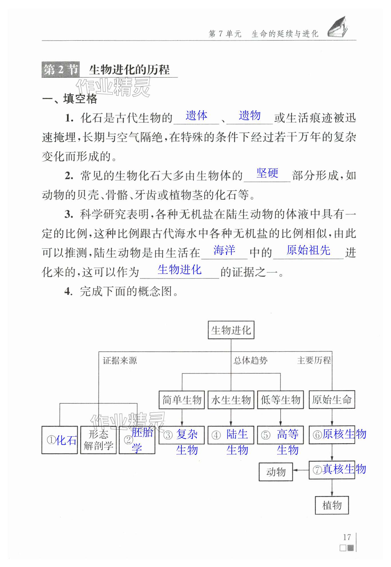 第17頁