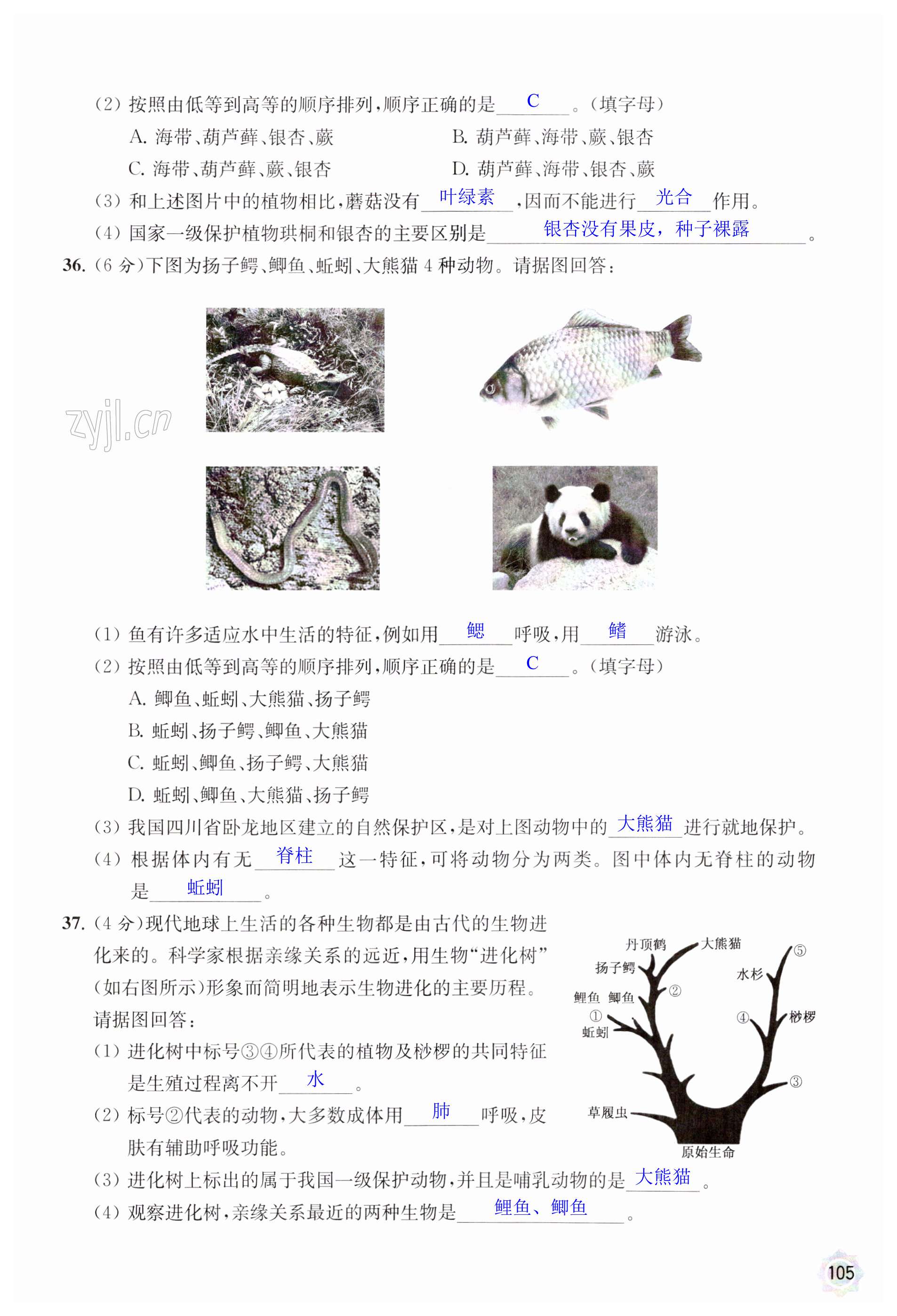 第105页