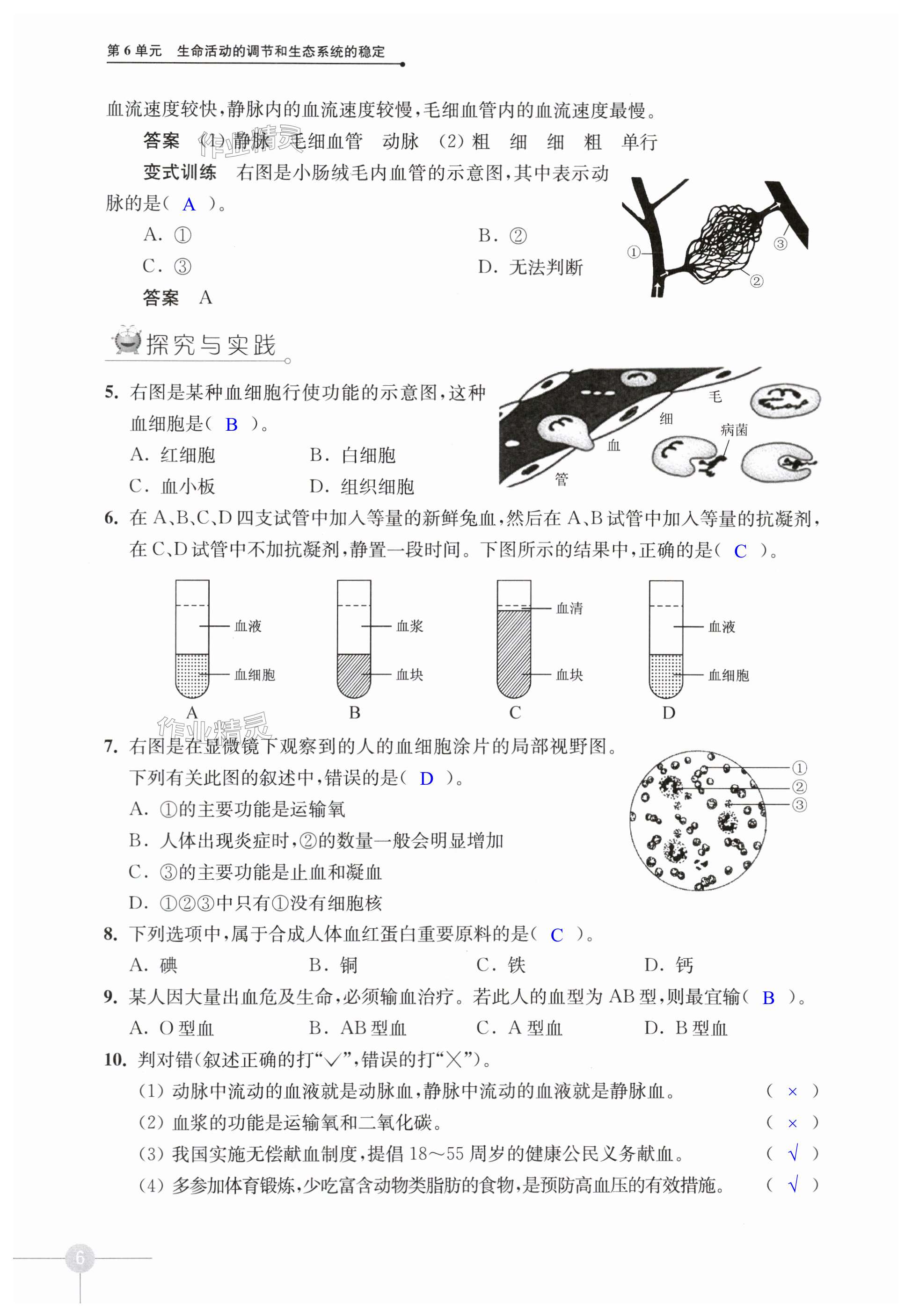 第6頁